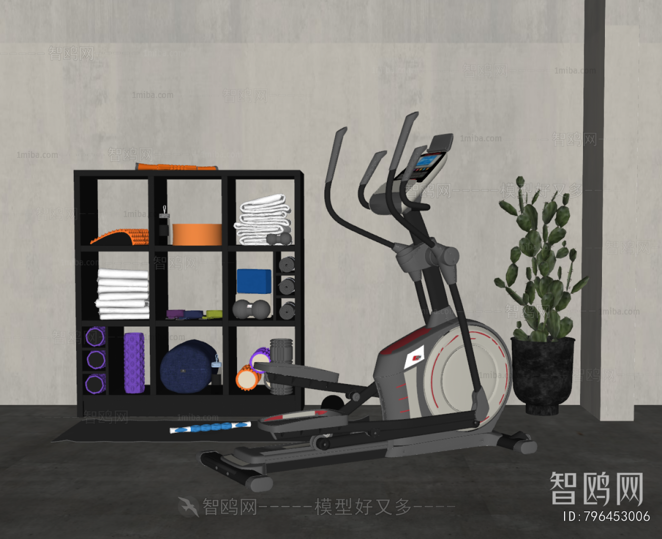 Modern Fitness Equipment