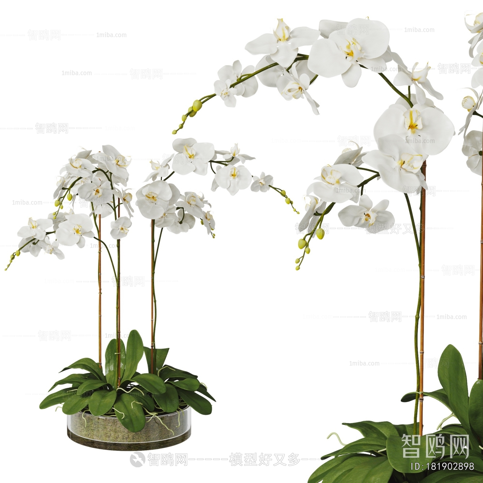 Modern Potted Green Plant