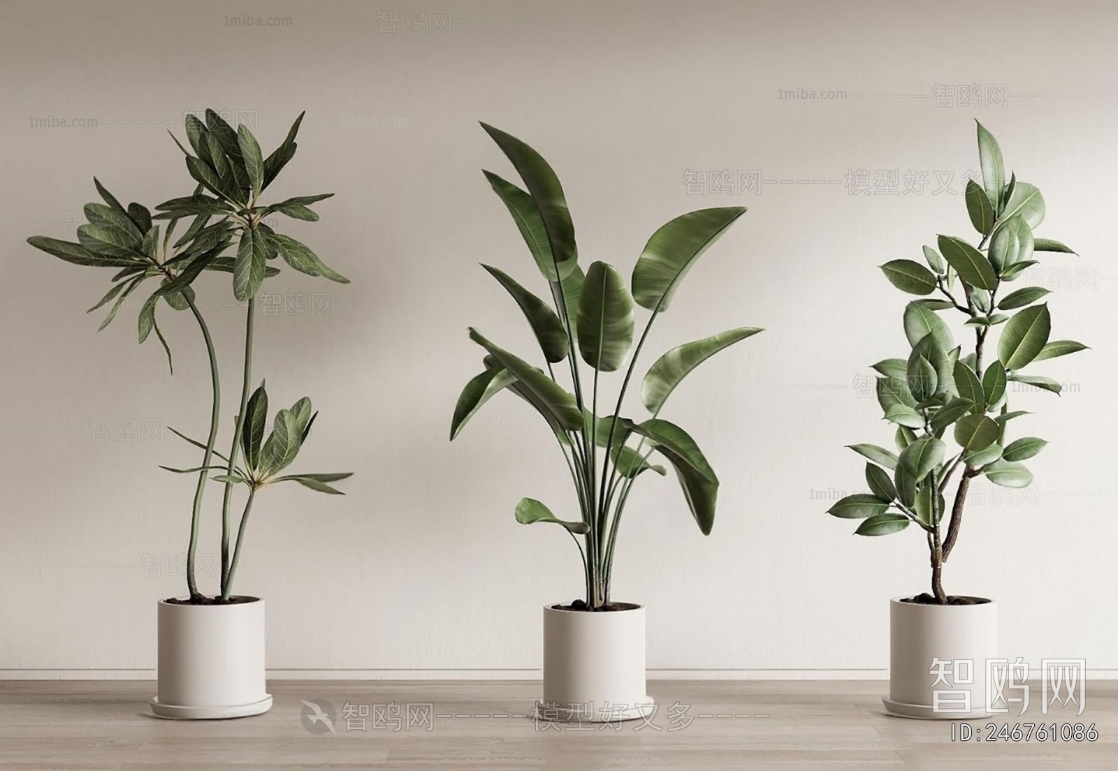 Modern Ground Green Plant Potted Plants