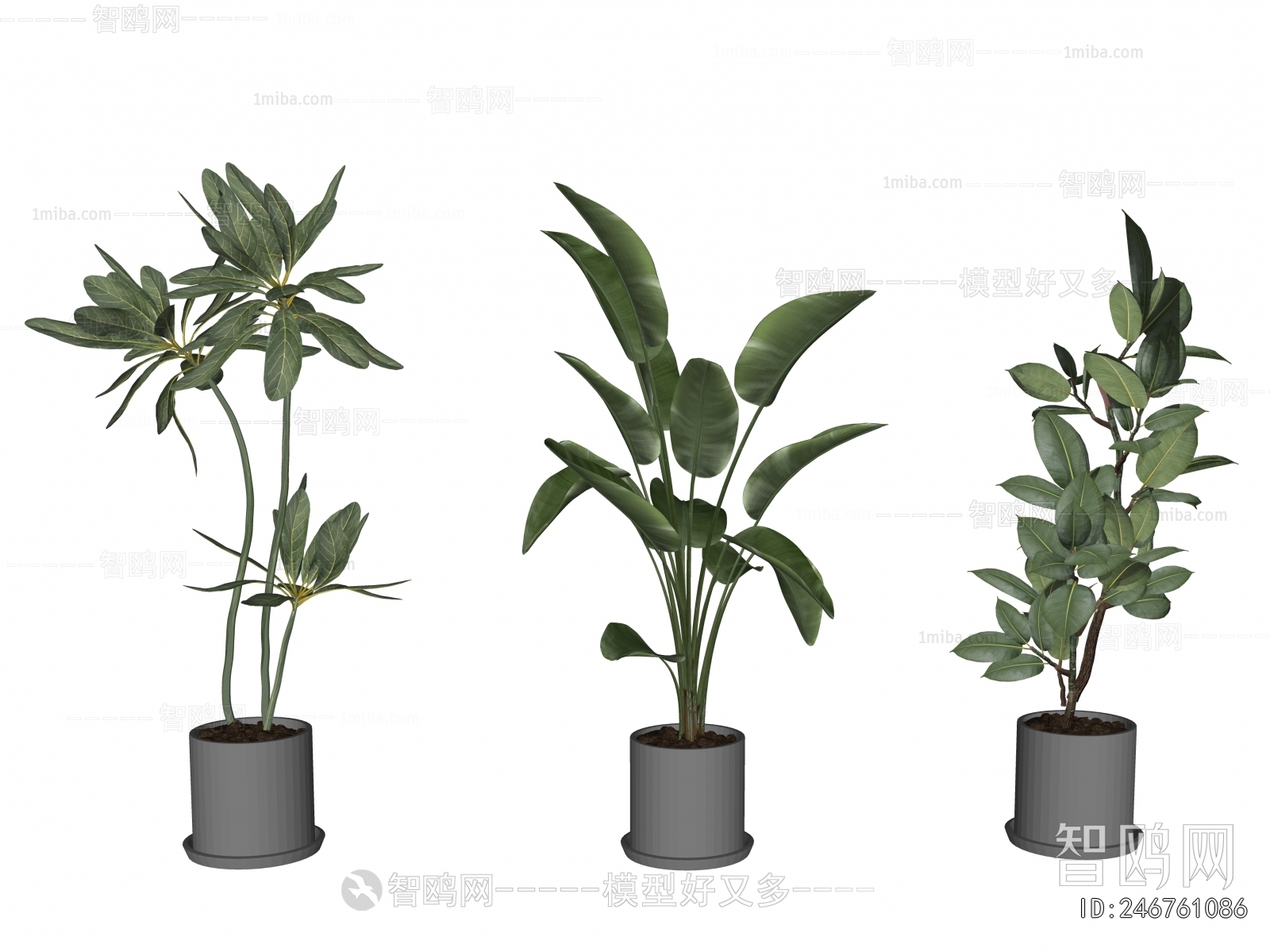 Modern Ground Green Plant Potted Plants