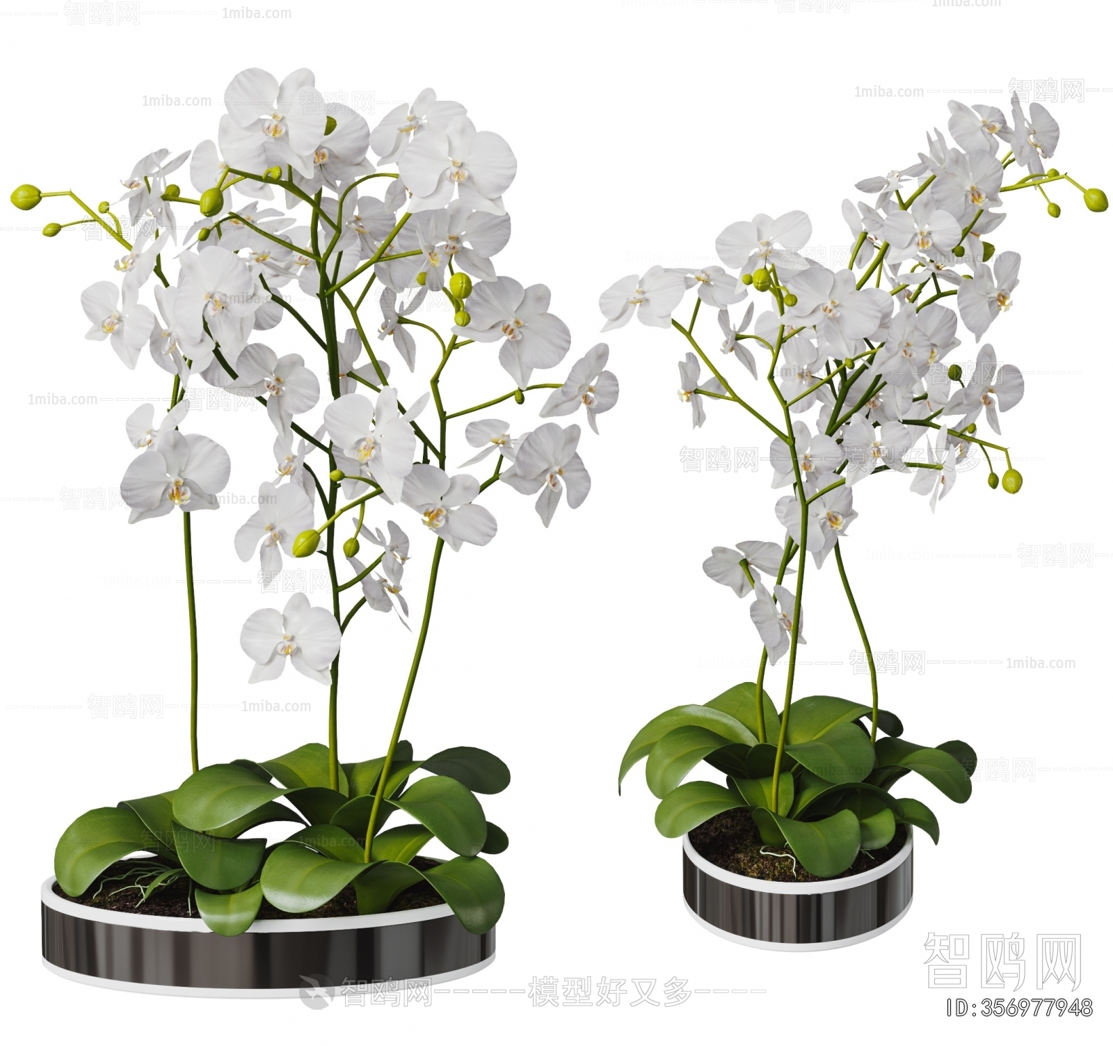 Modern Potted Green Plant