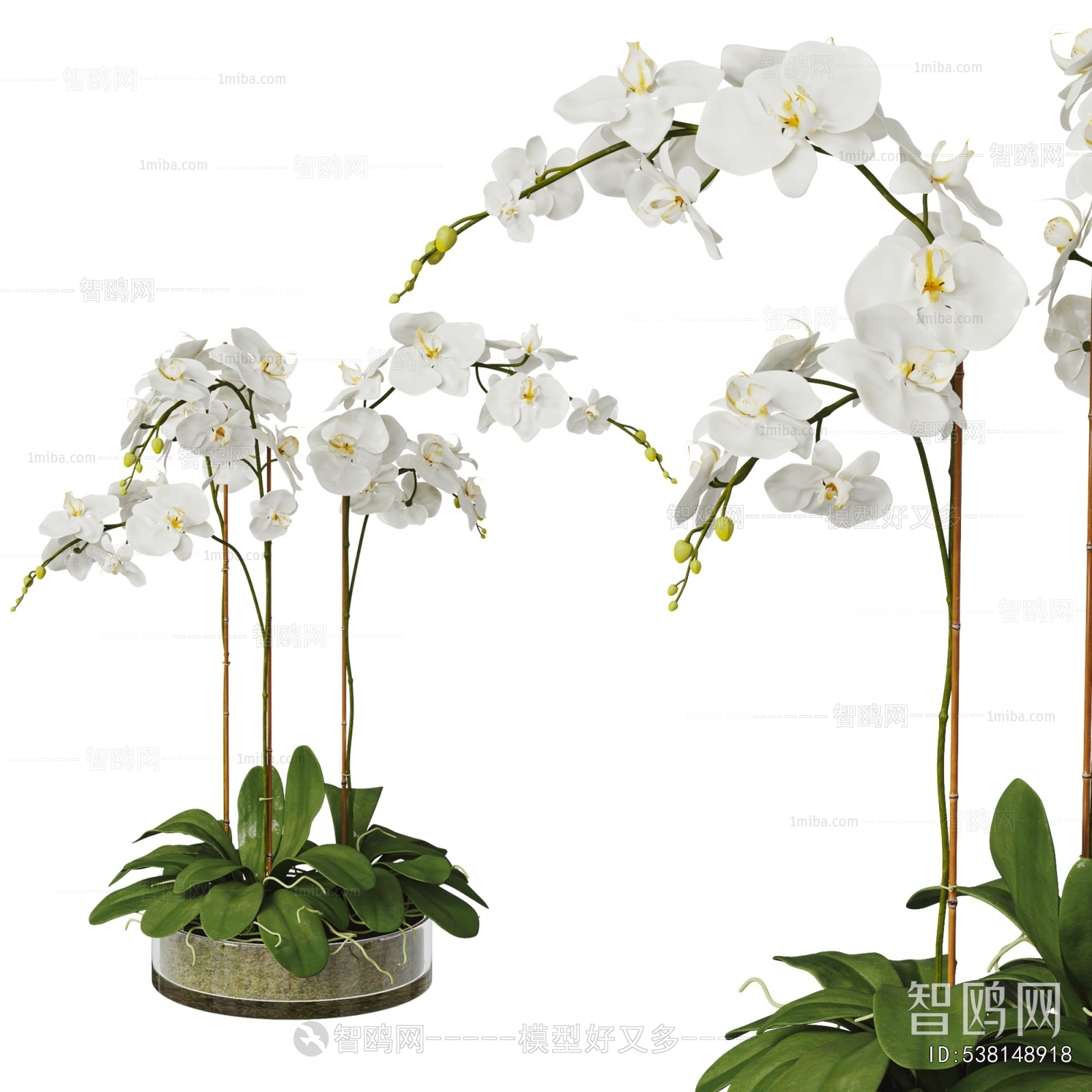 Modern Potted Green Plant