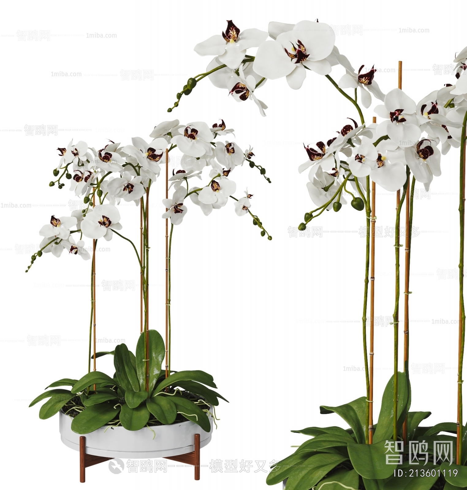 Modern Potted Green Plant