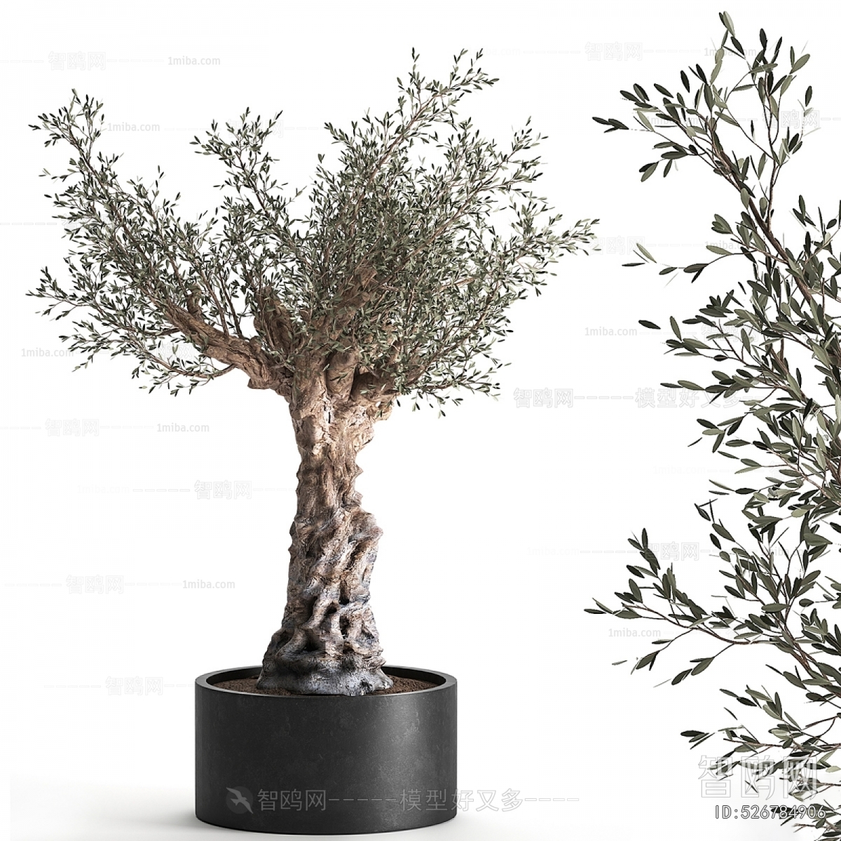 Modern Ground Green Plant Potted Plants