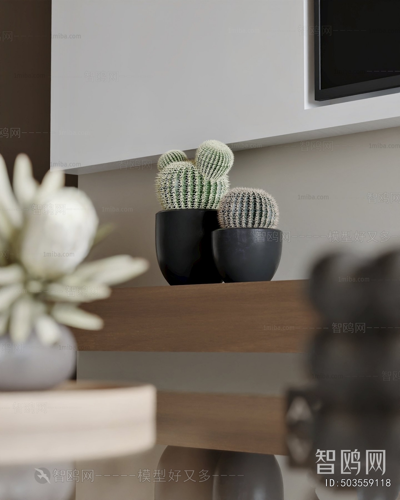 Modern Desktop Plant