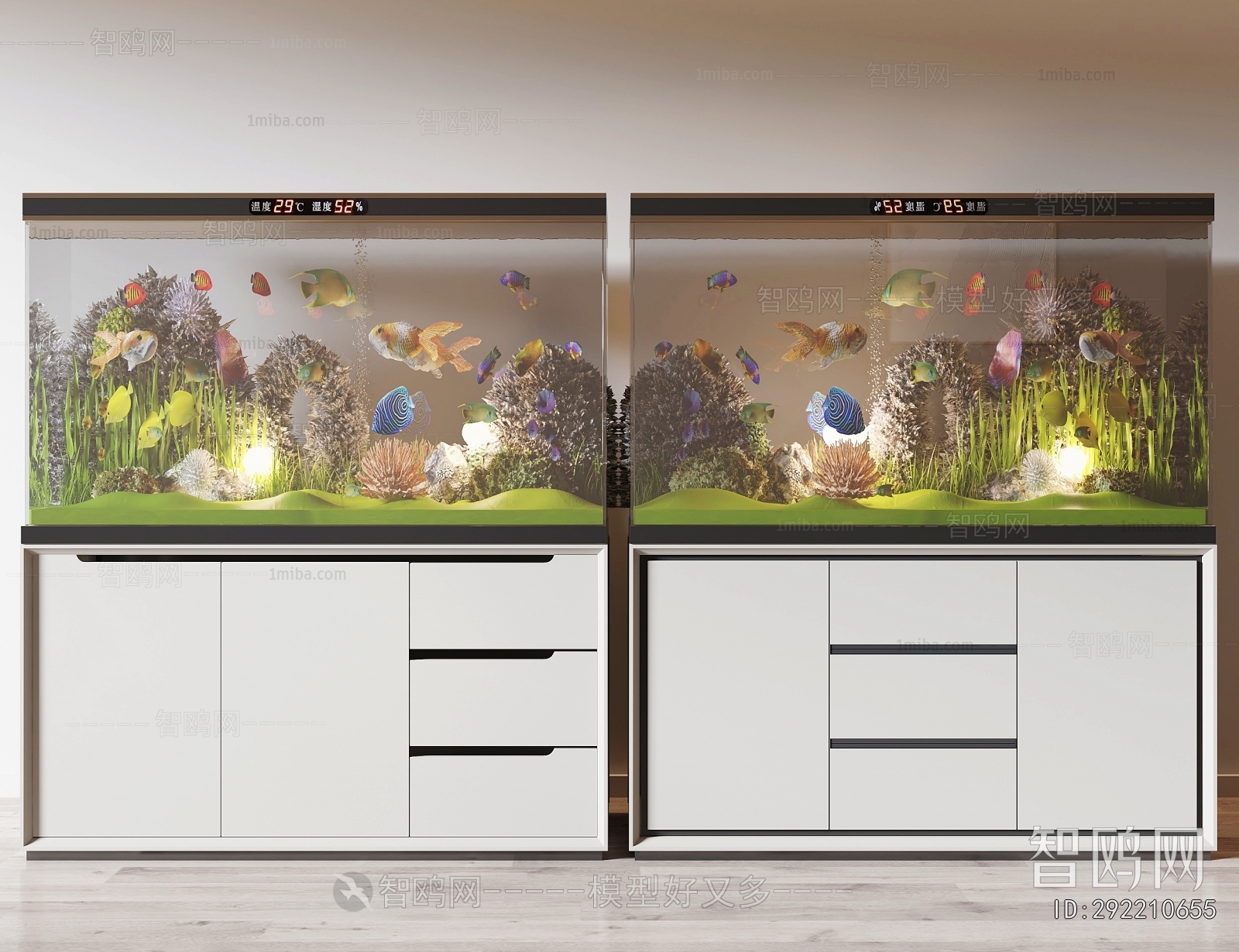 Modern Fish Tank
