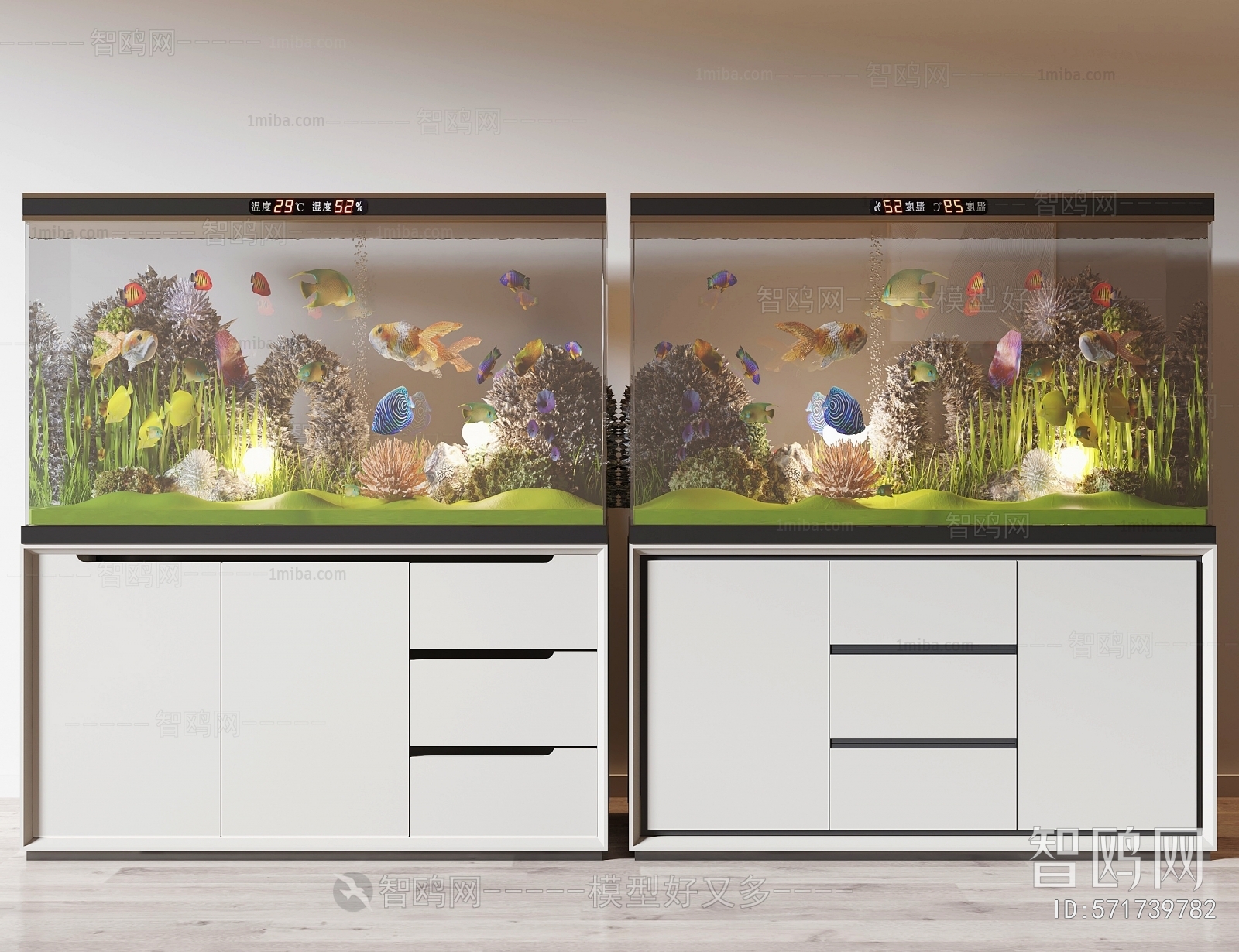 Modern Fish Tank