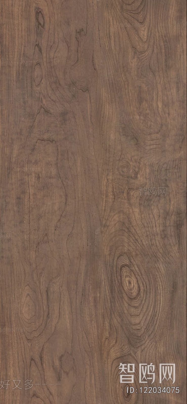 Wood Texture