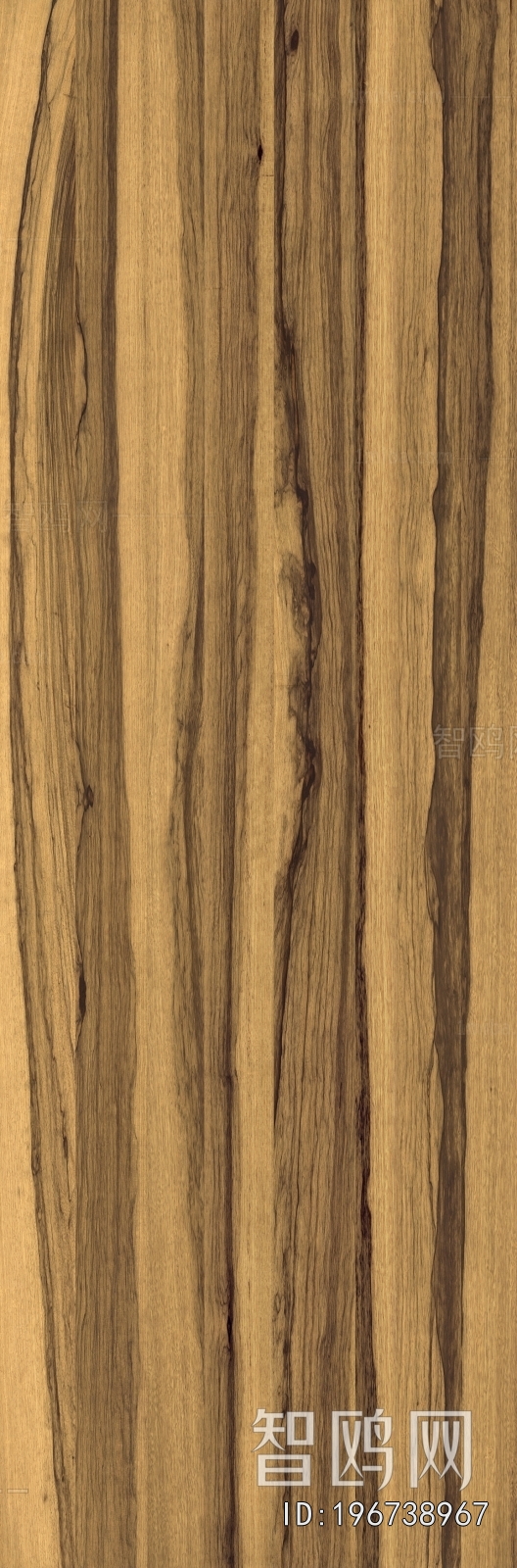 Wood Texture