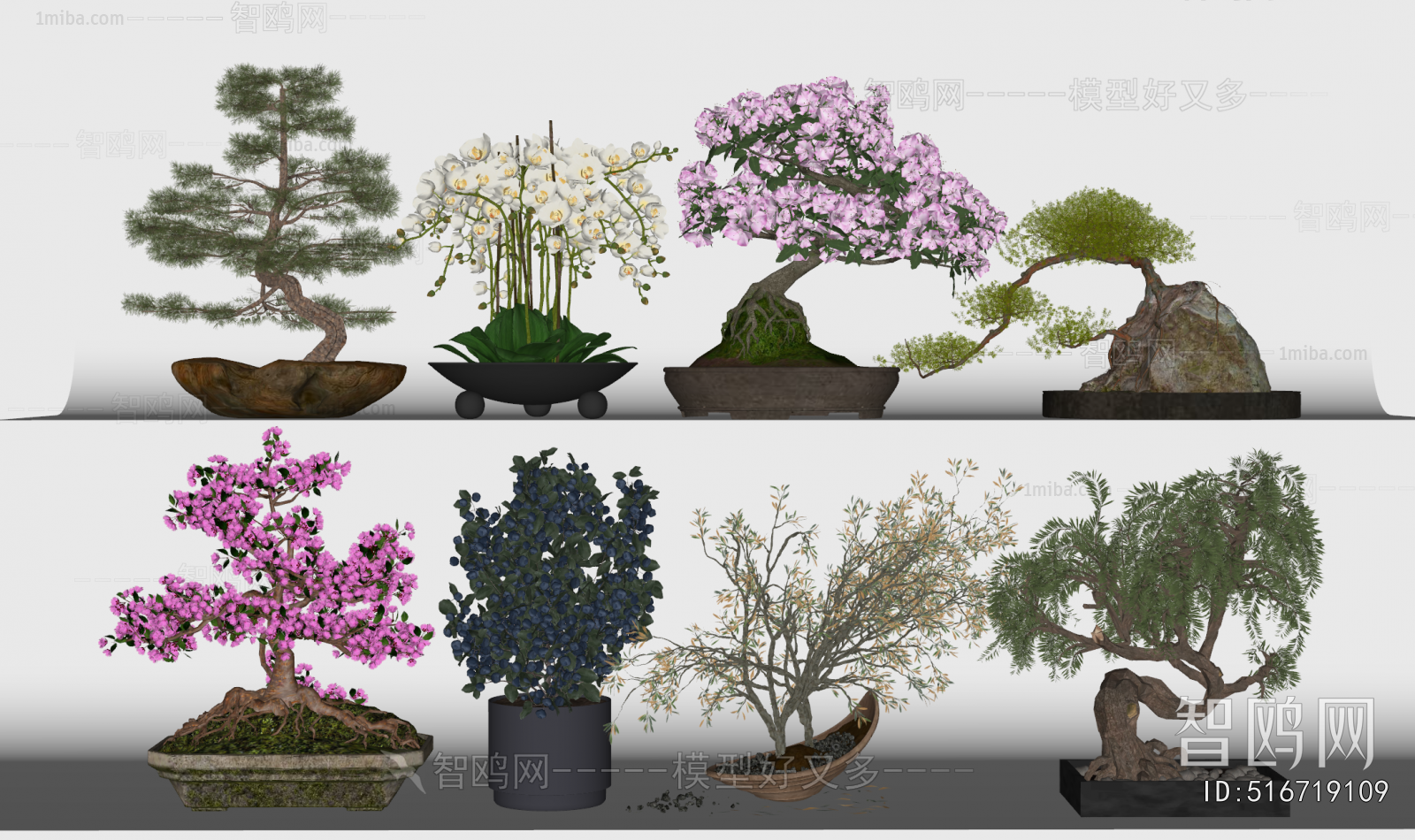 New Chinese Style Bonsai