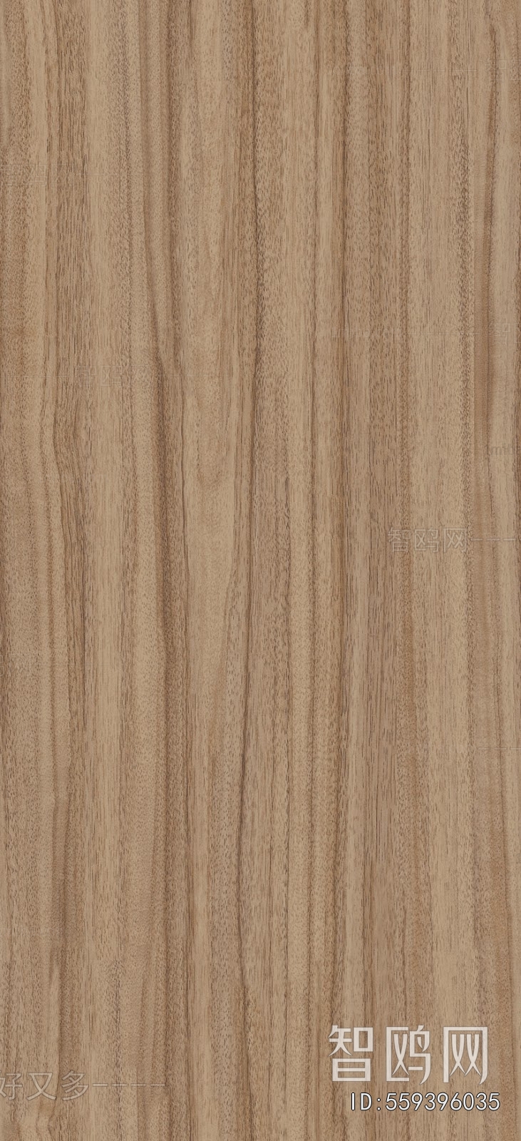Wood Texture