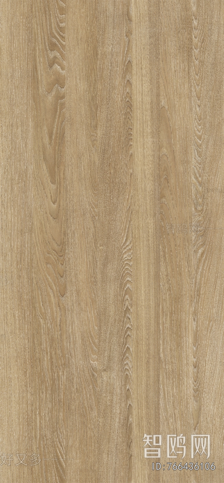 Wood Texture