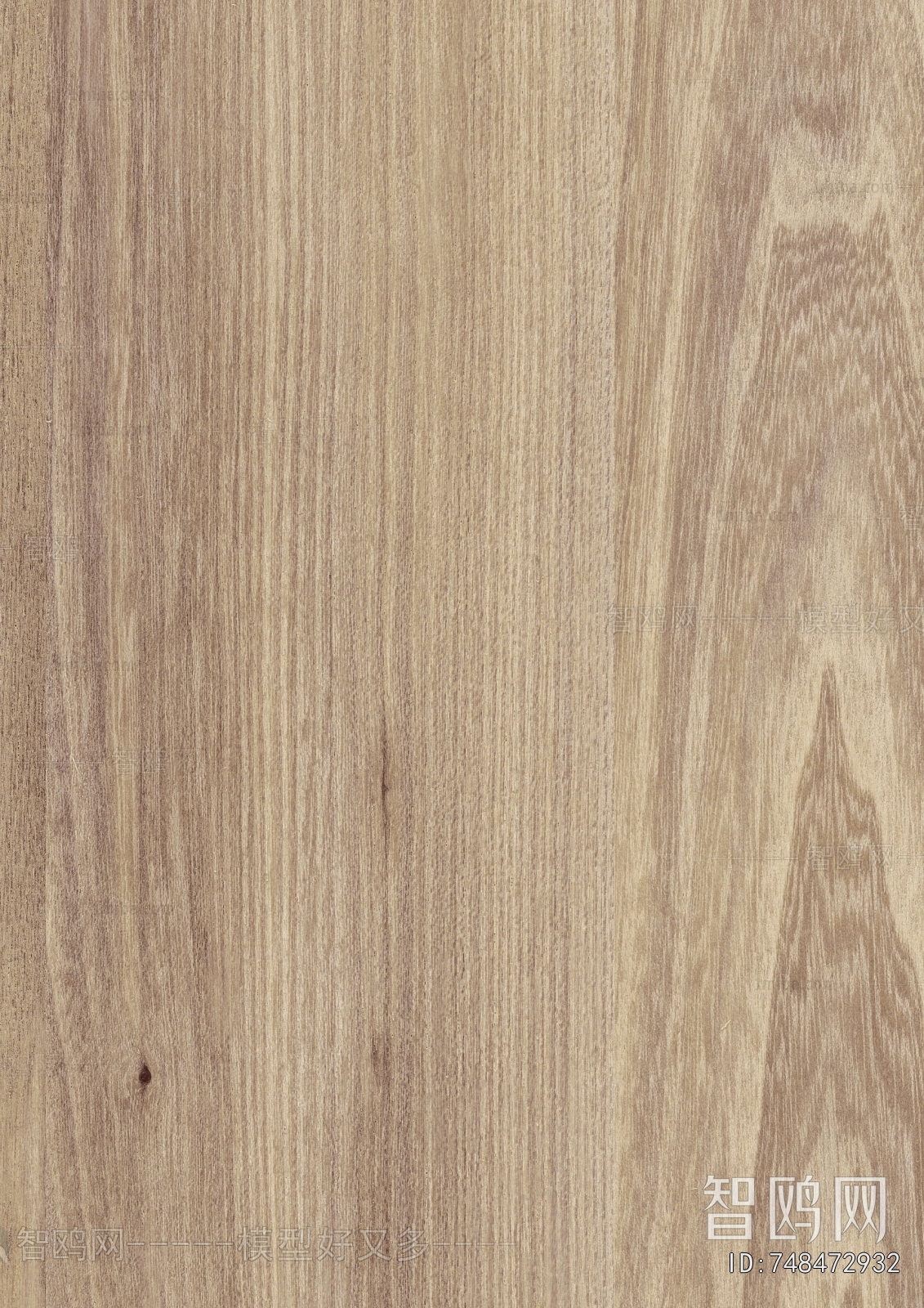 Wood Texture
