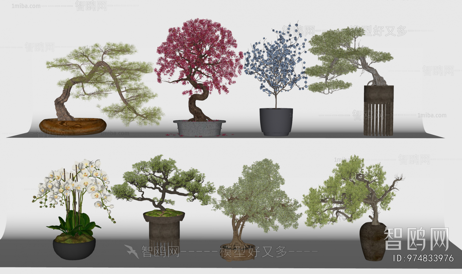 New Chinese Style Bonsai