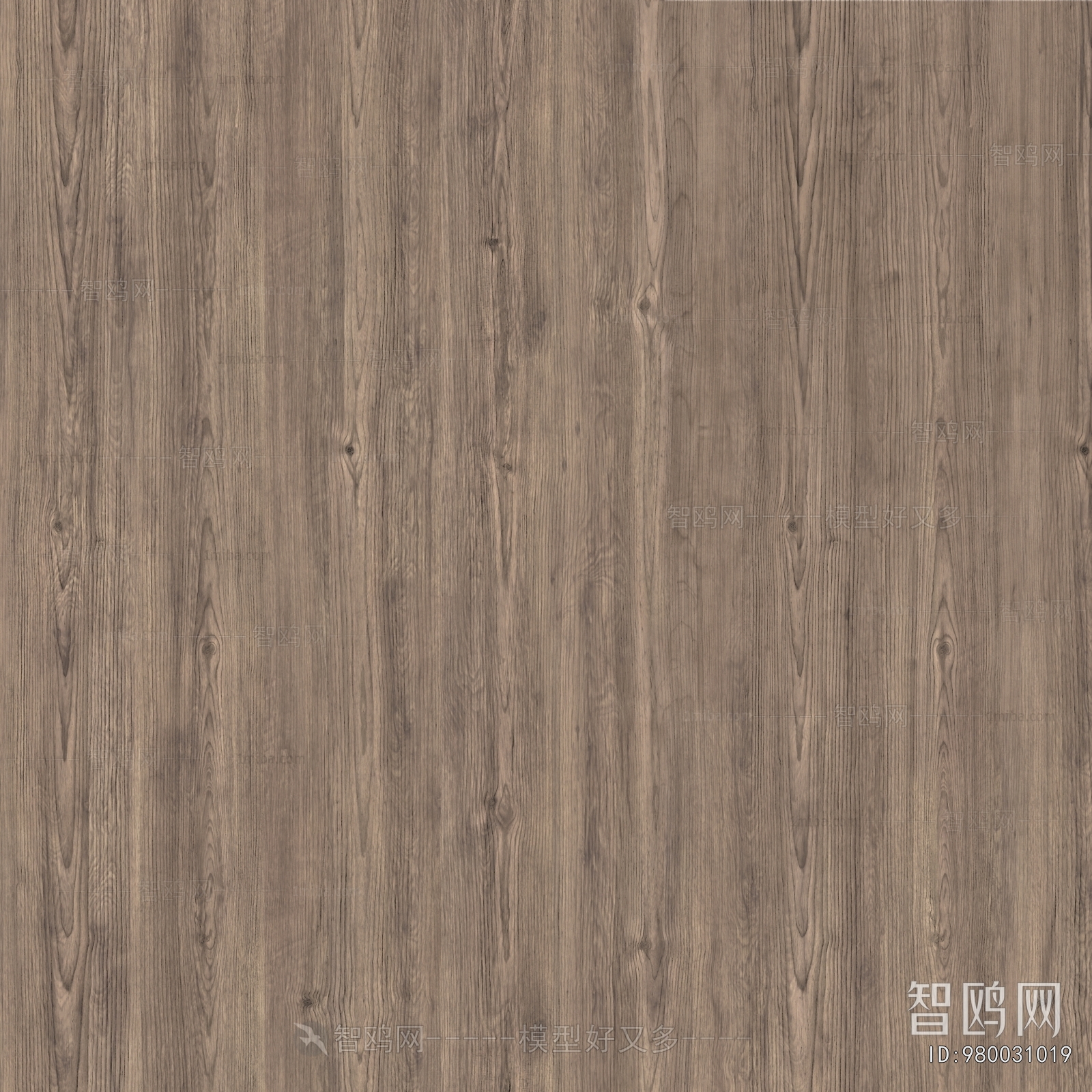 Wood Texture