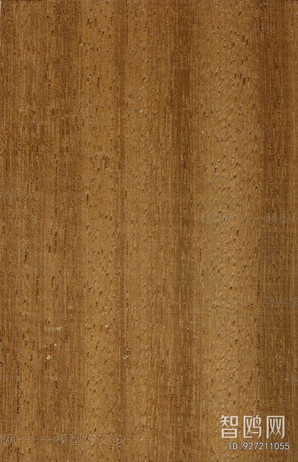 Wood Texture