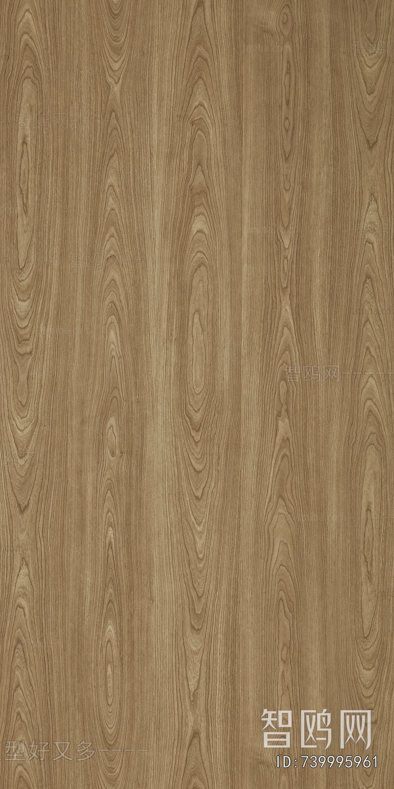 Wood Texture