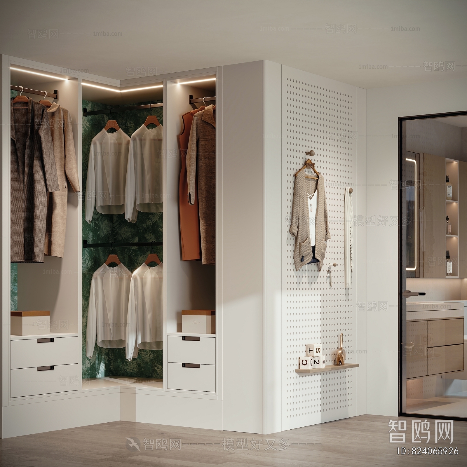 Modern Clothes Storage Area