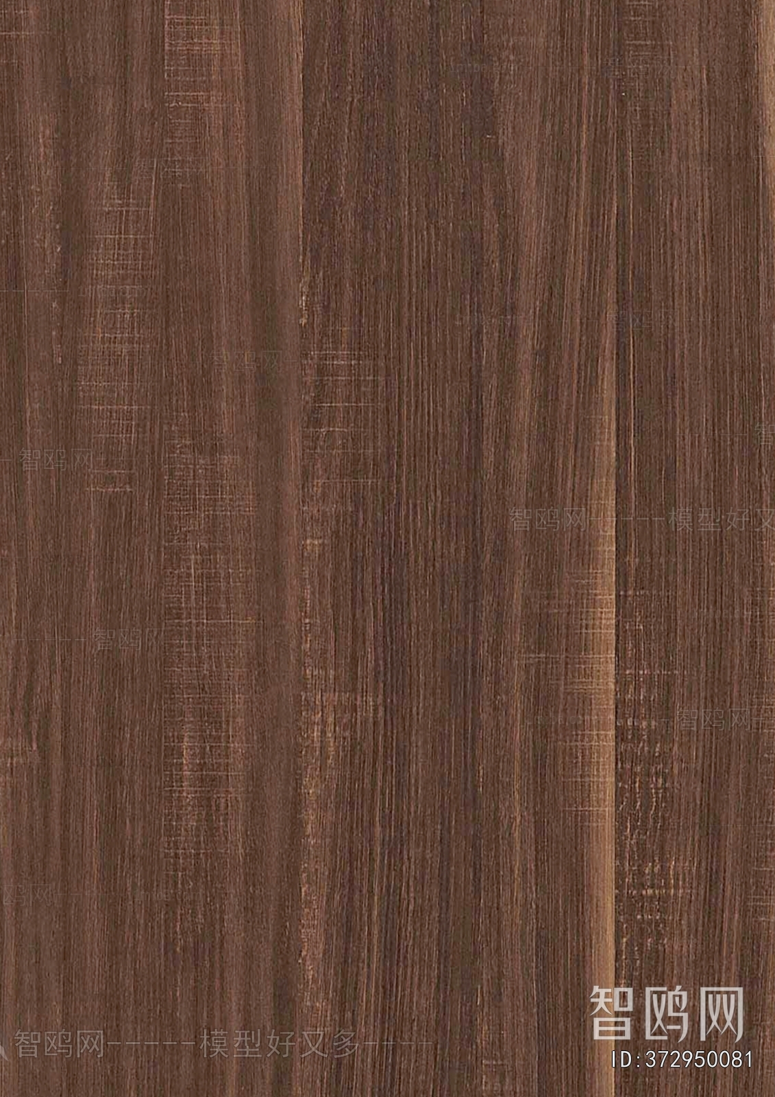 Wood Texture