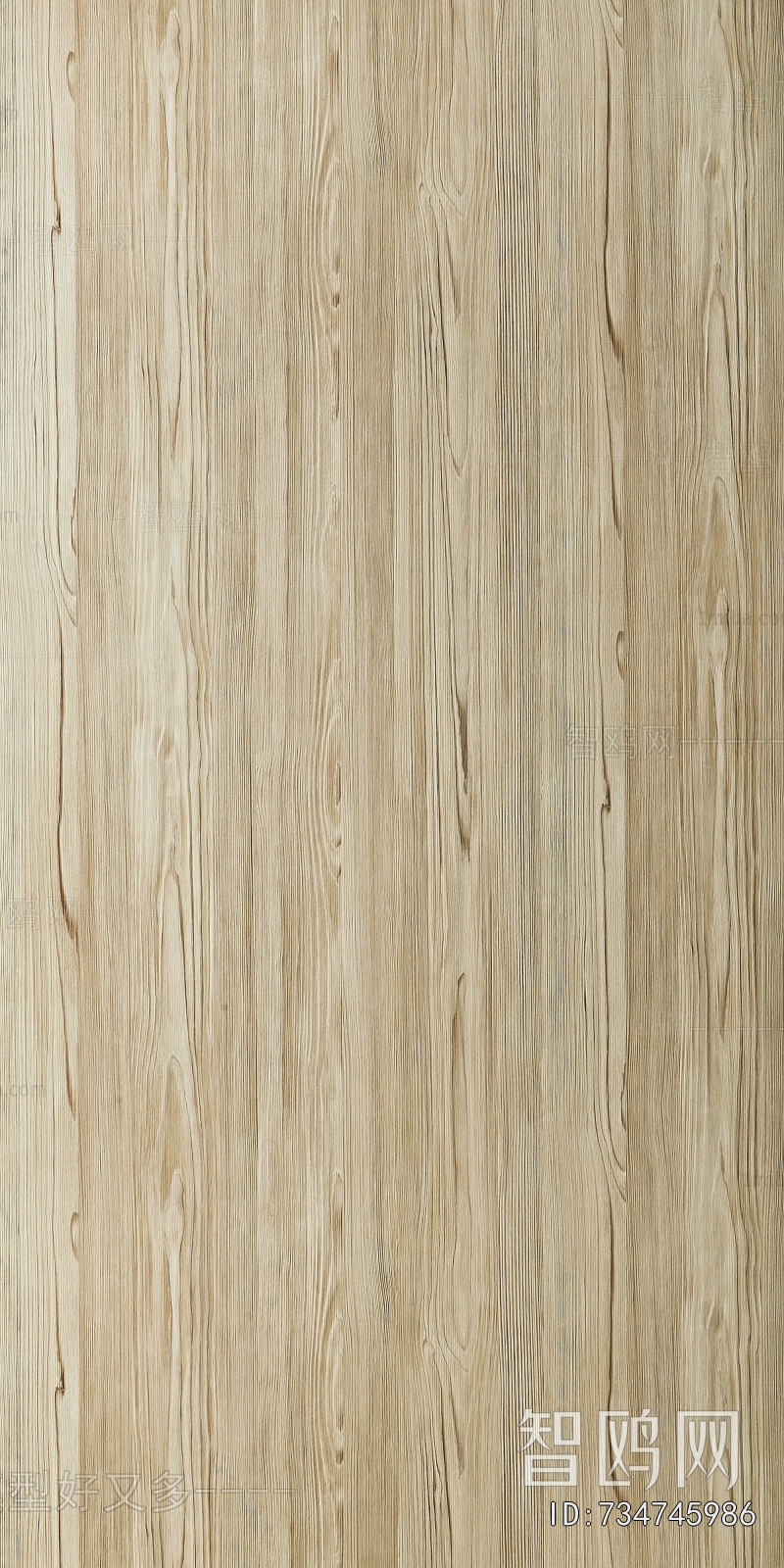 Wood Texture