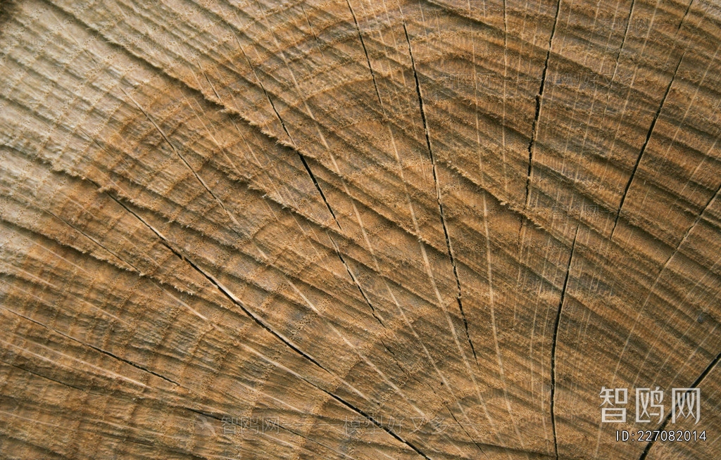 Old Wood Texture