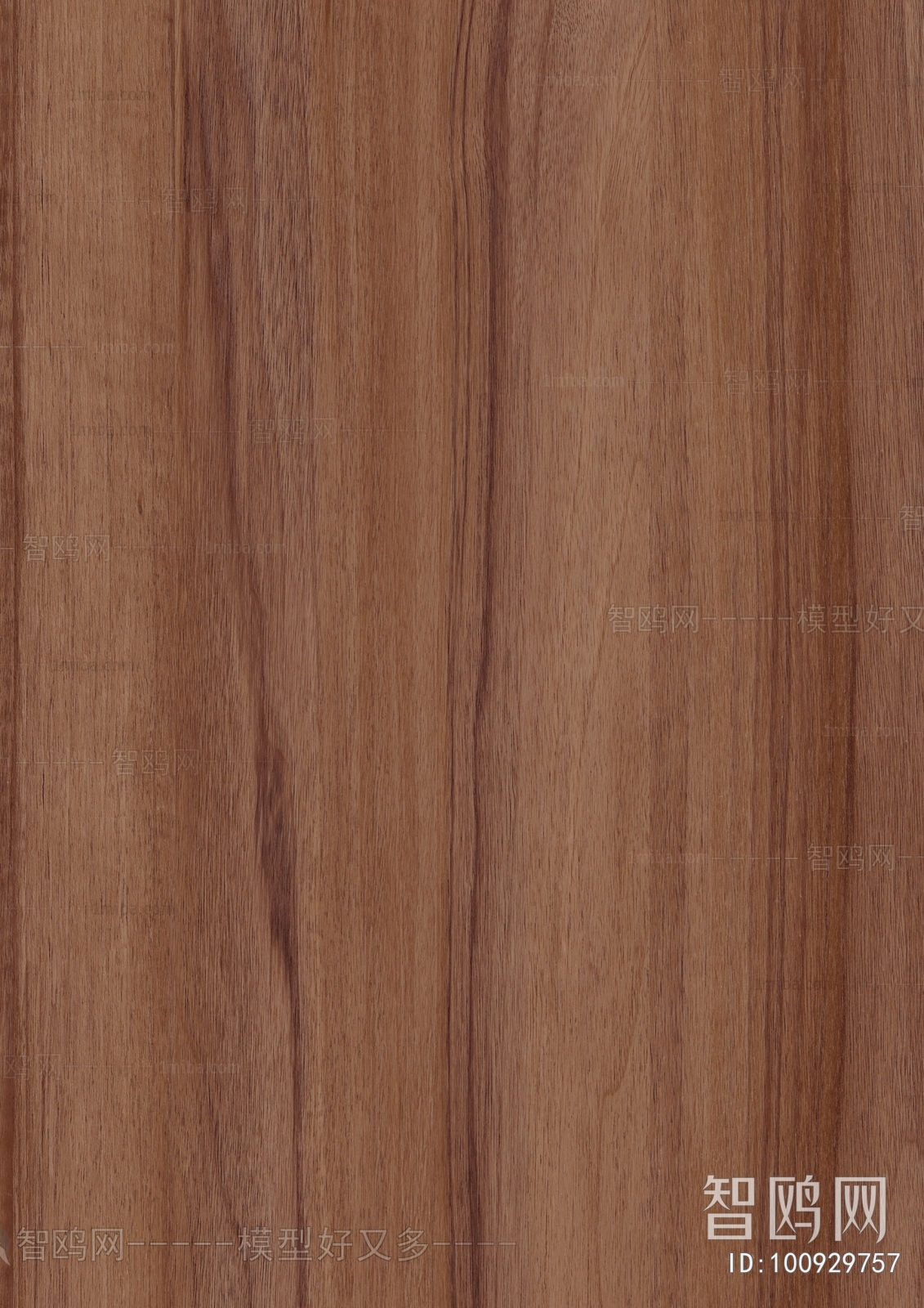 Wood Texture
