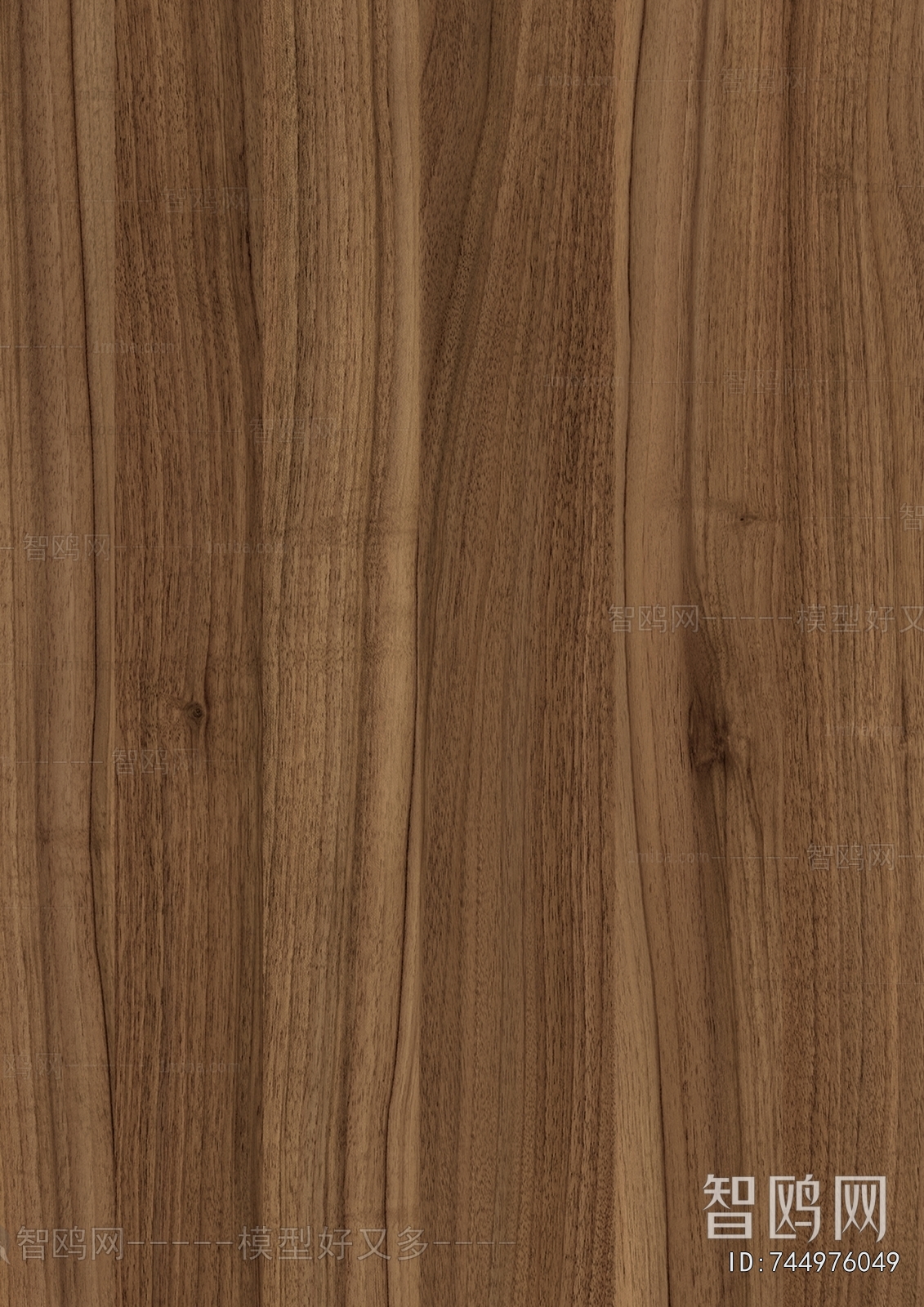 Wood Texture