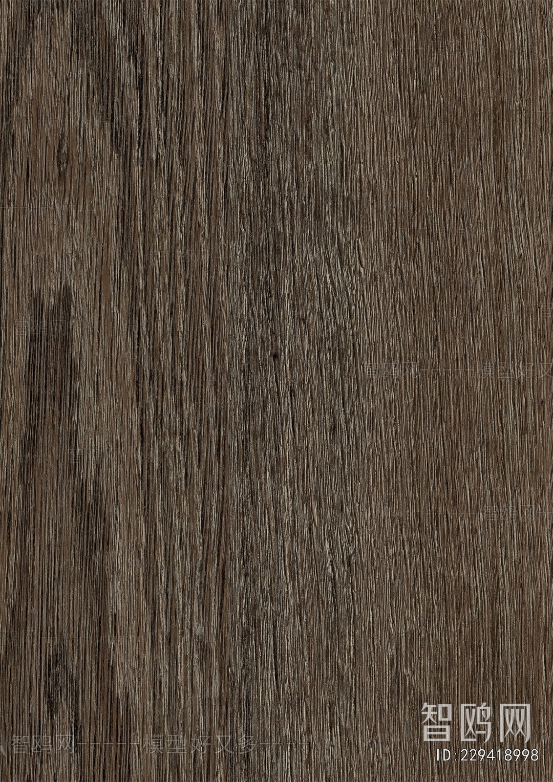 Wood Texture