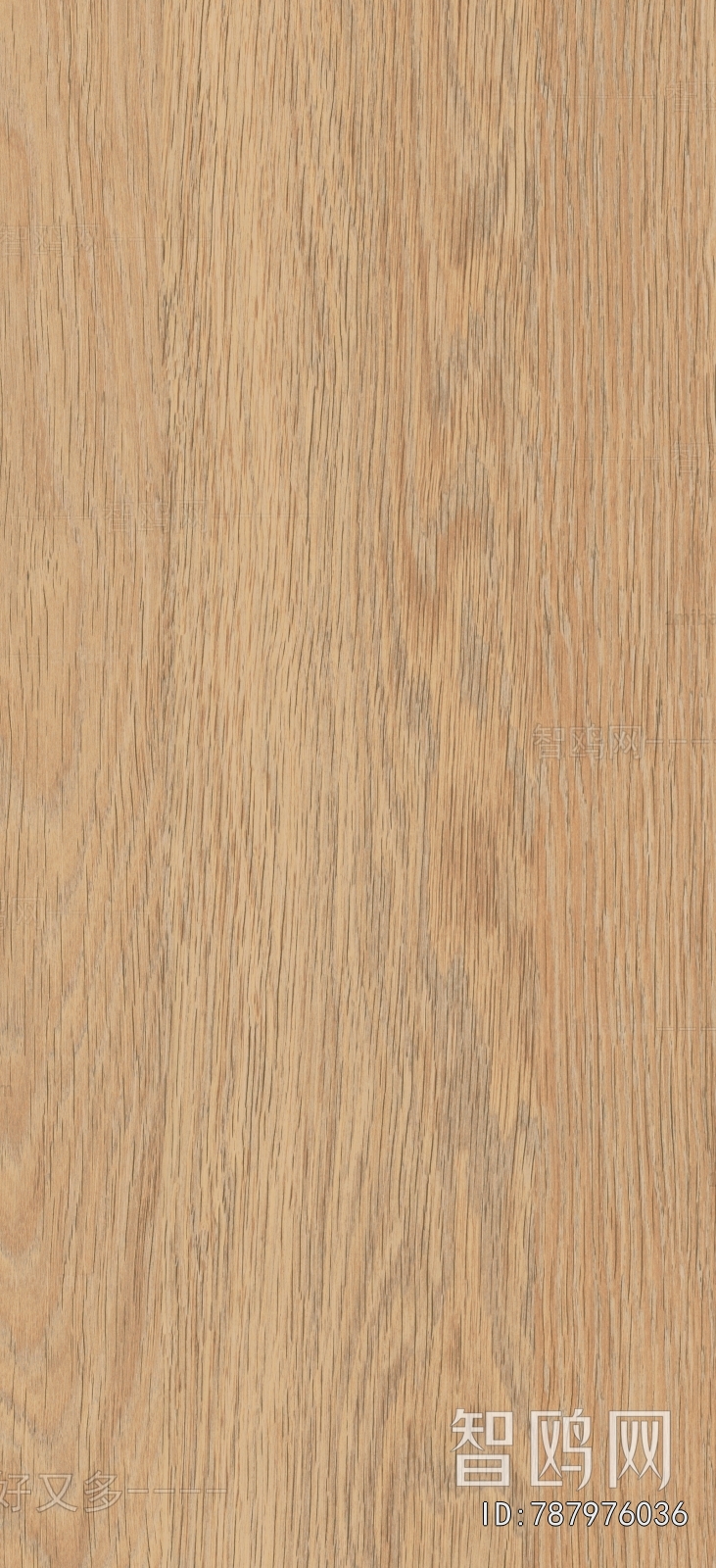 Wood Texture