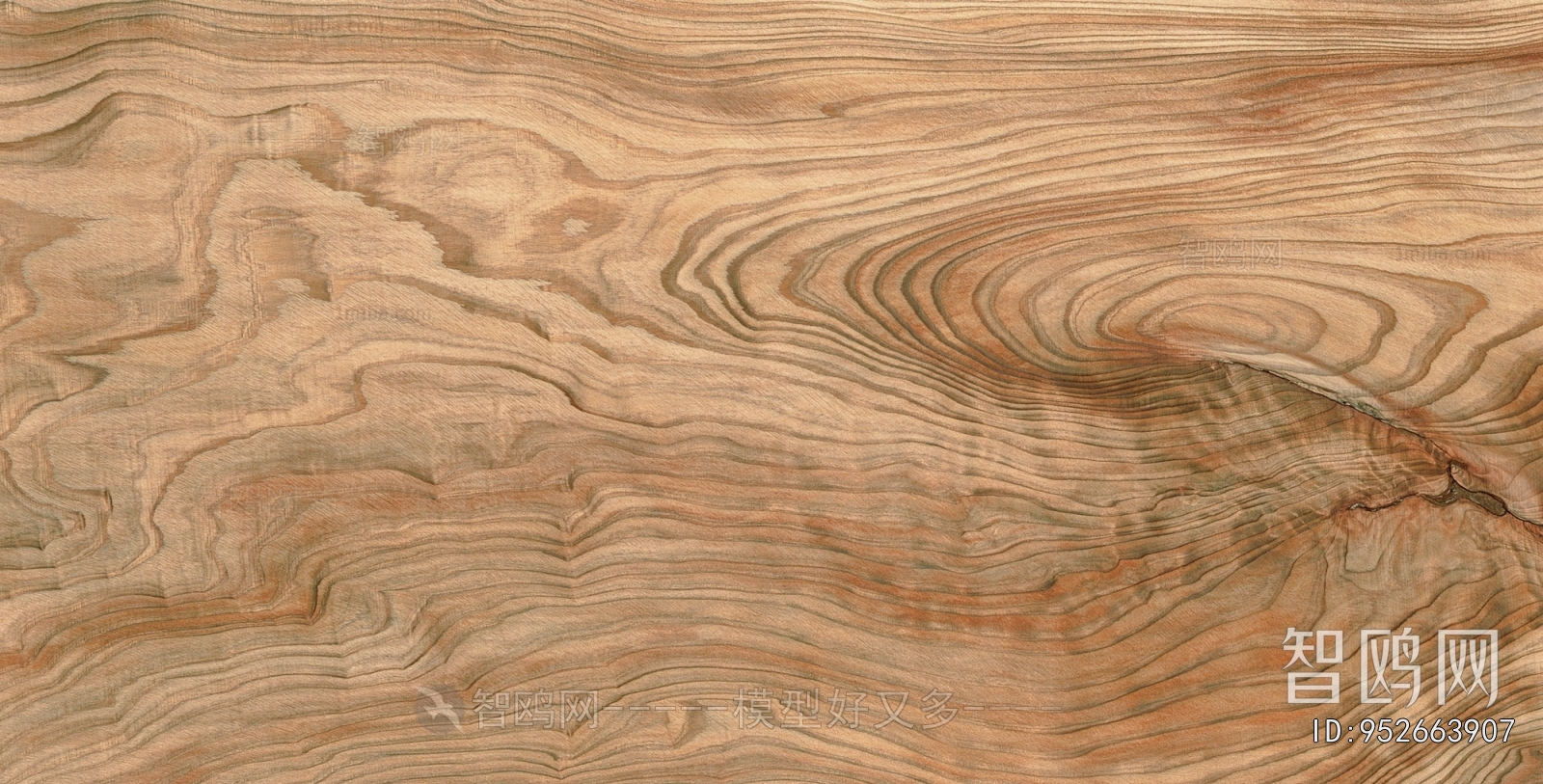 Wood Texture