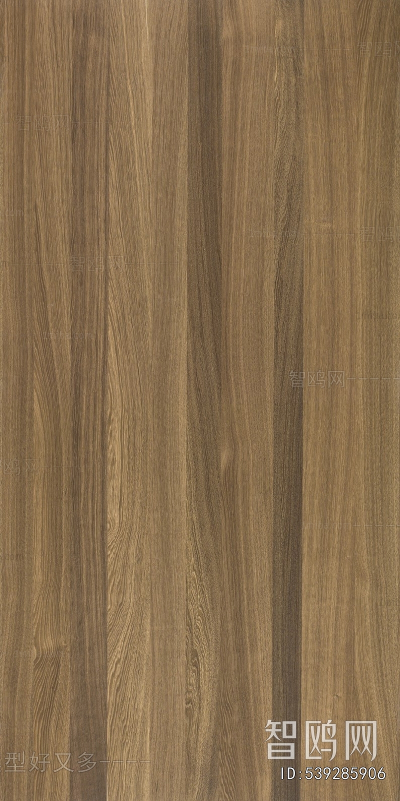 Wood Texture