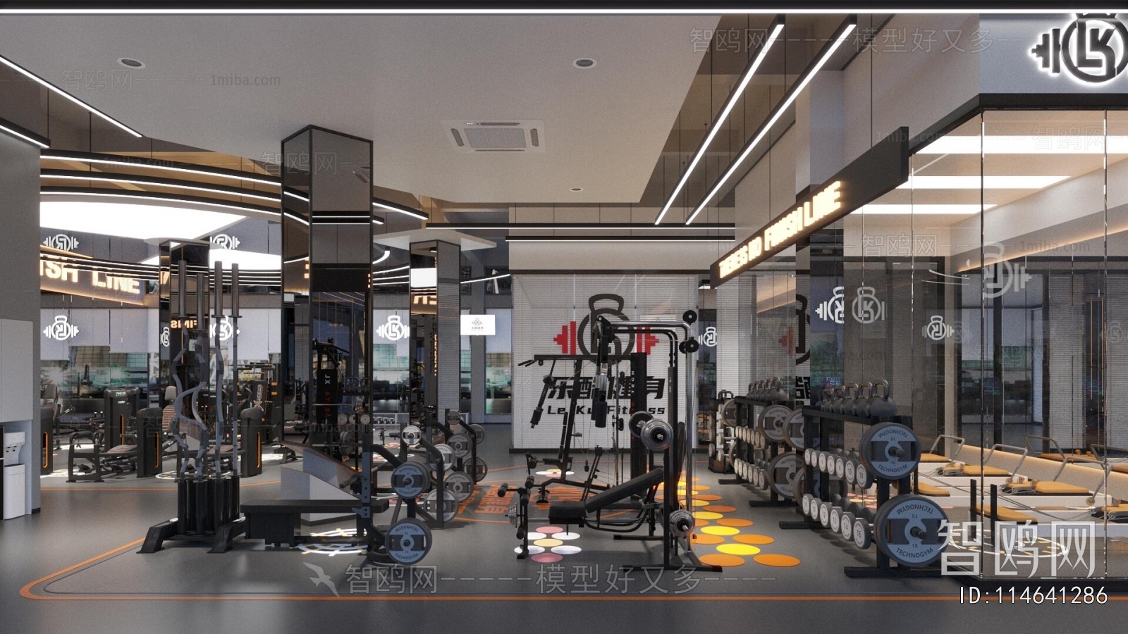Modern Gym