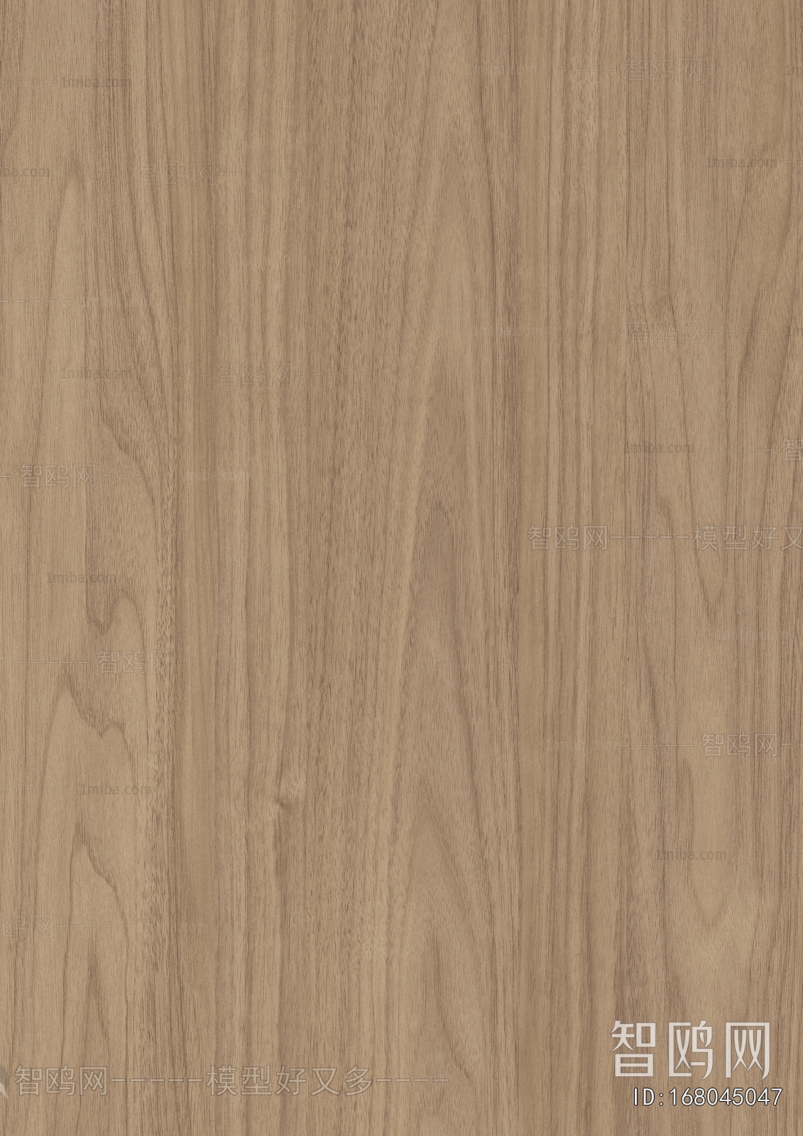 Wood Texture