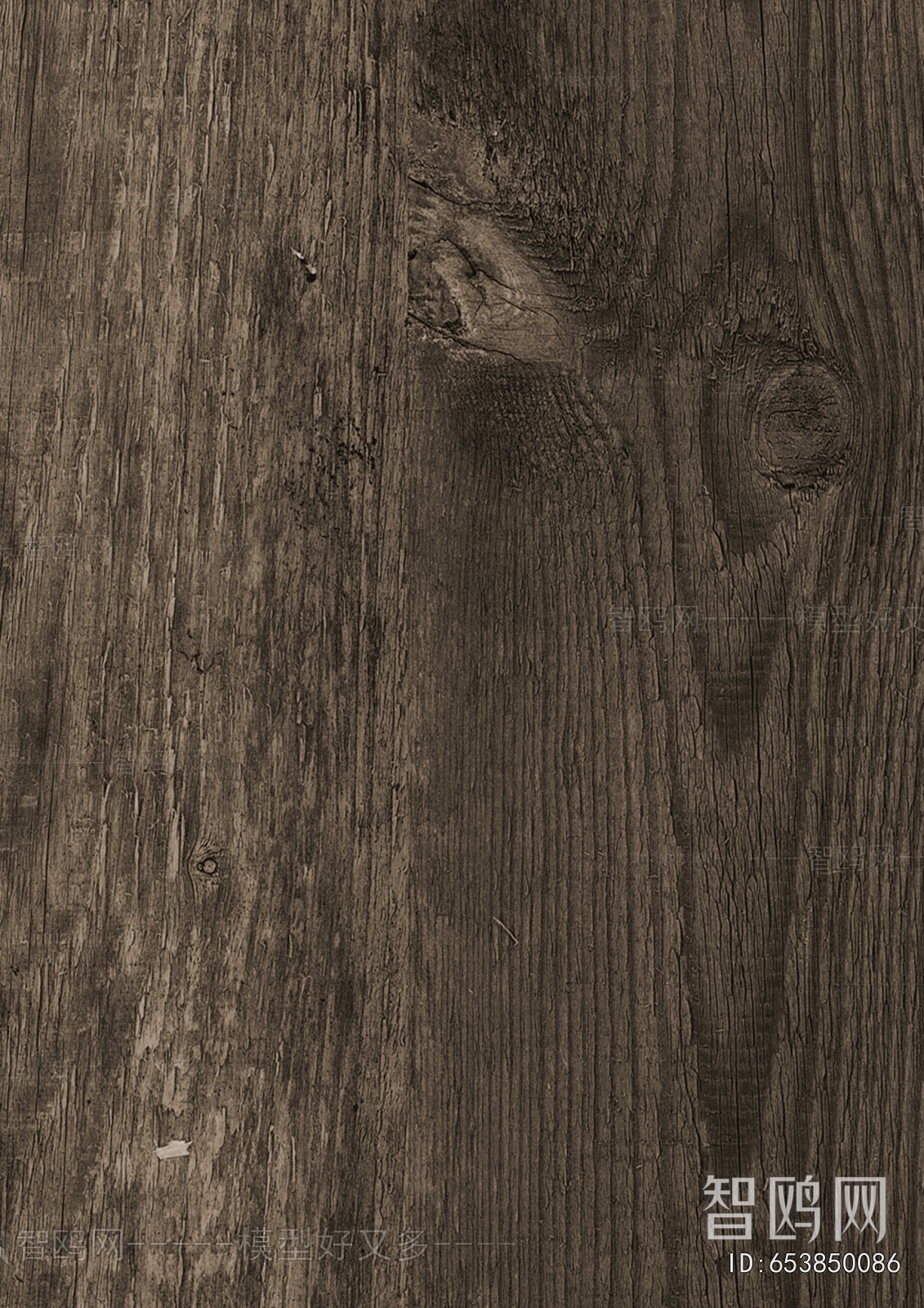 Wood Texture