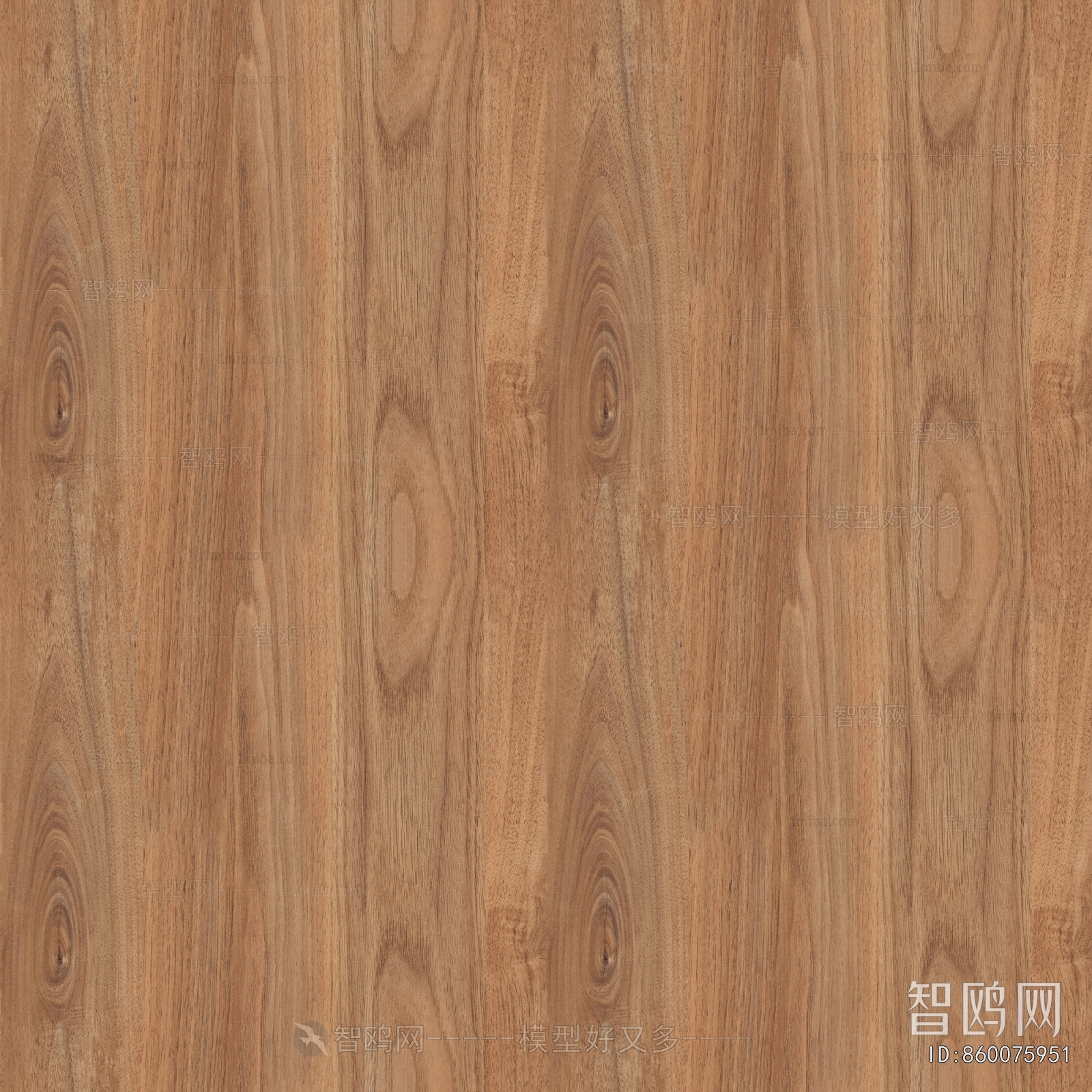Wood Texture