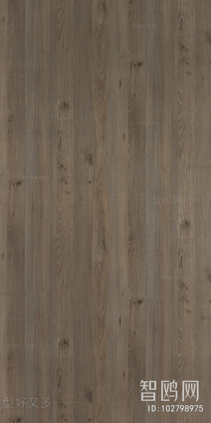 Wood Texture