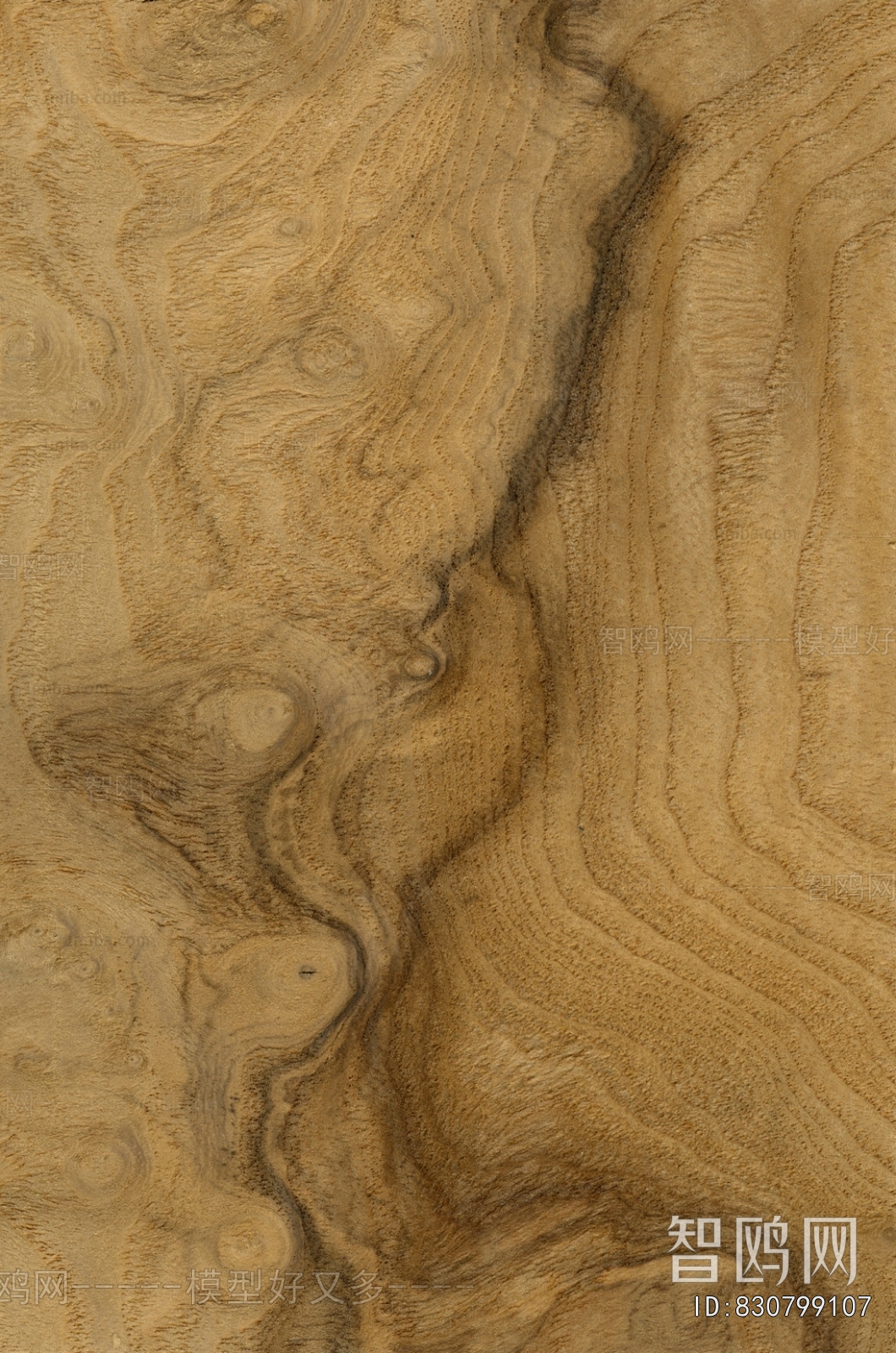 Wood Texture