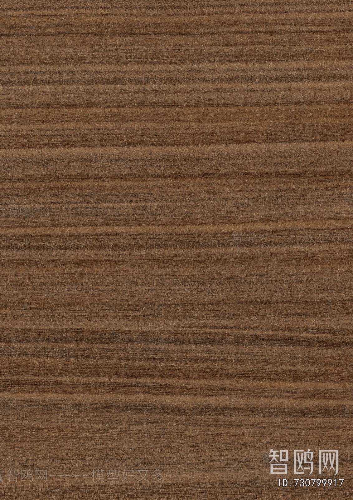 Wood Texture