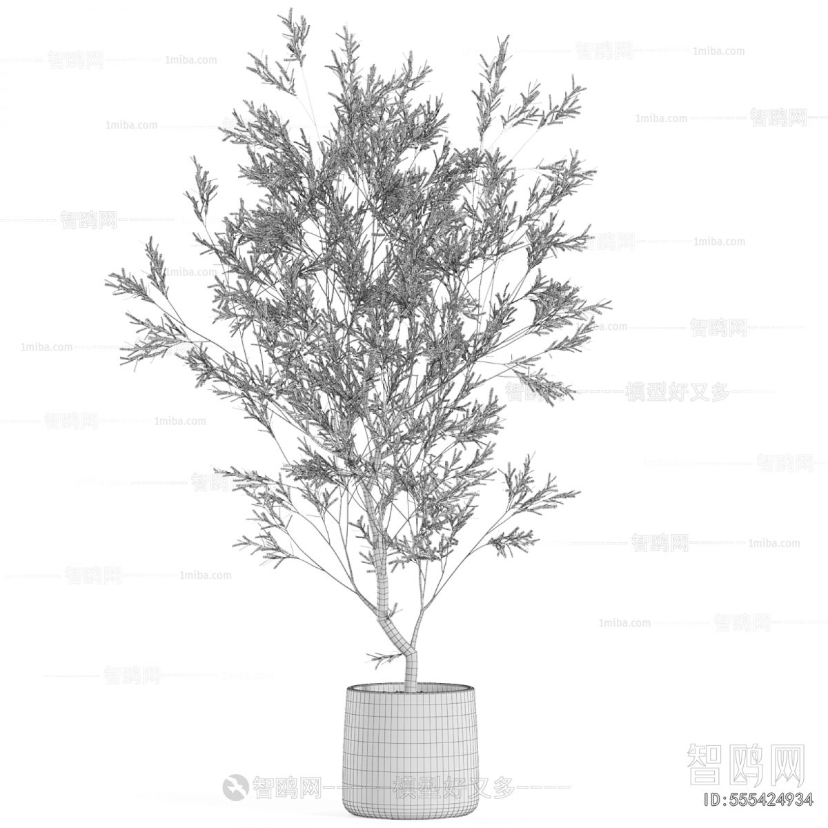 Modern Ground Green Plant Potted Plants