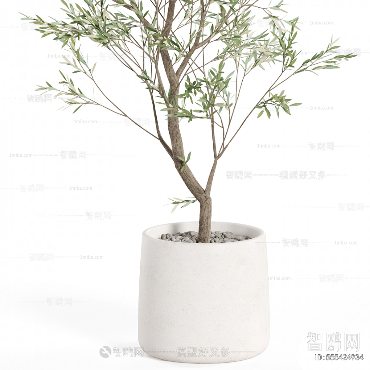 Modern Ground Green Plant Potted Plants