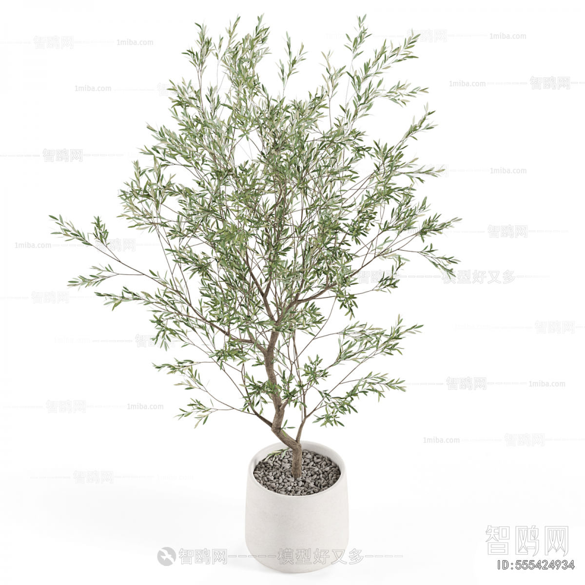 Modern Ground Green Plant Potted Plants