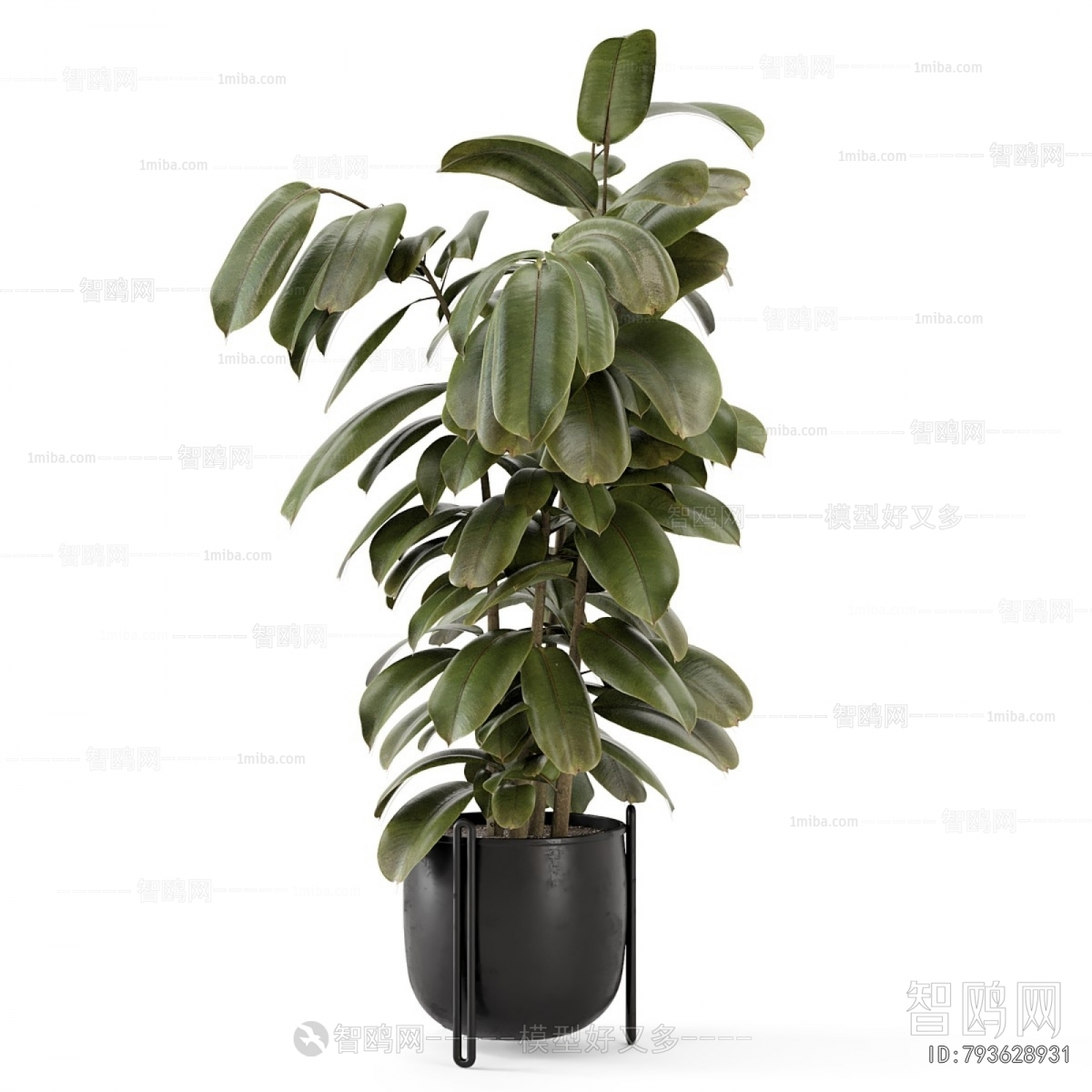 Modern Ground Green Plant Potted Plants