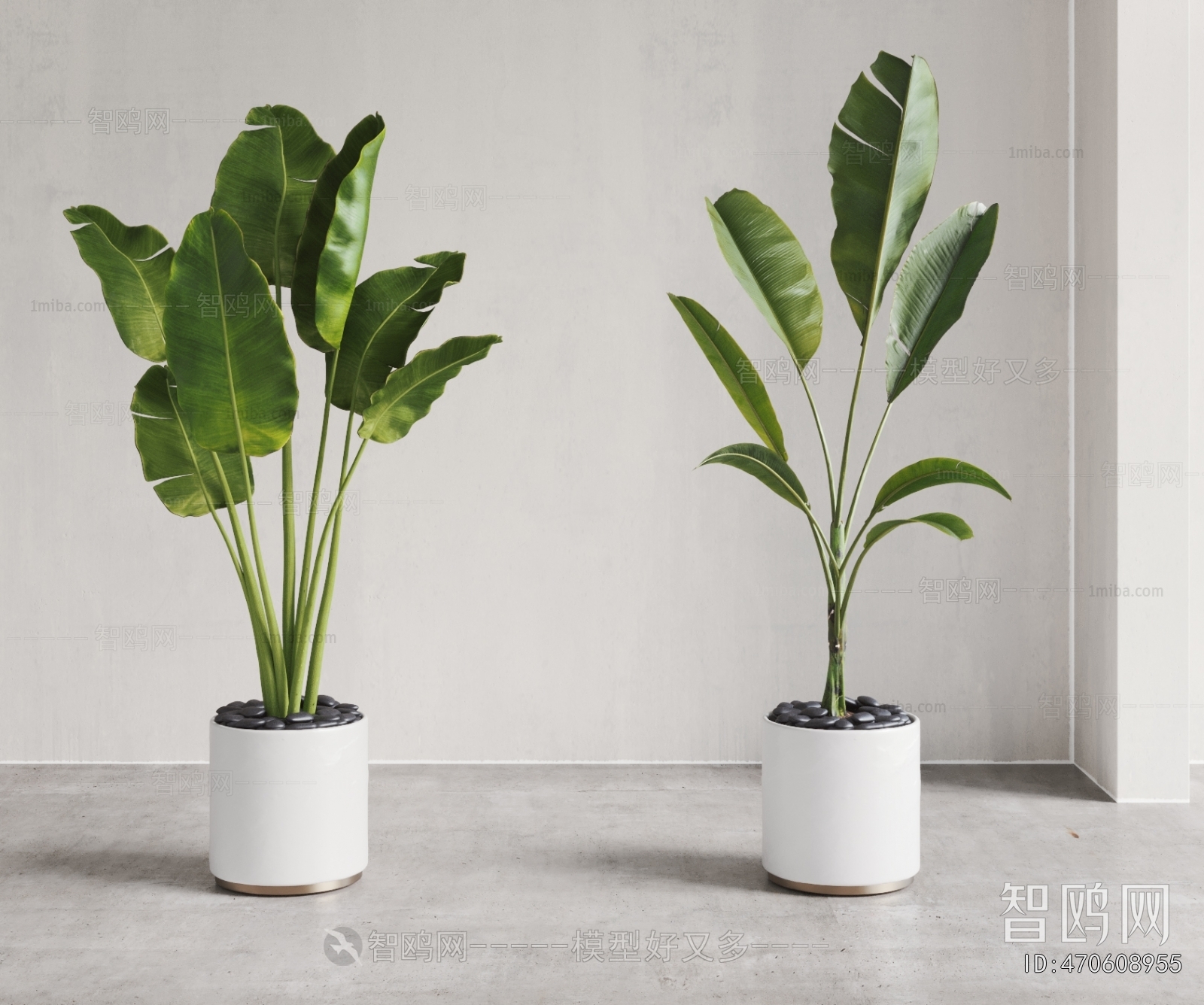 Modern Ground Green Plant Potted Plants