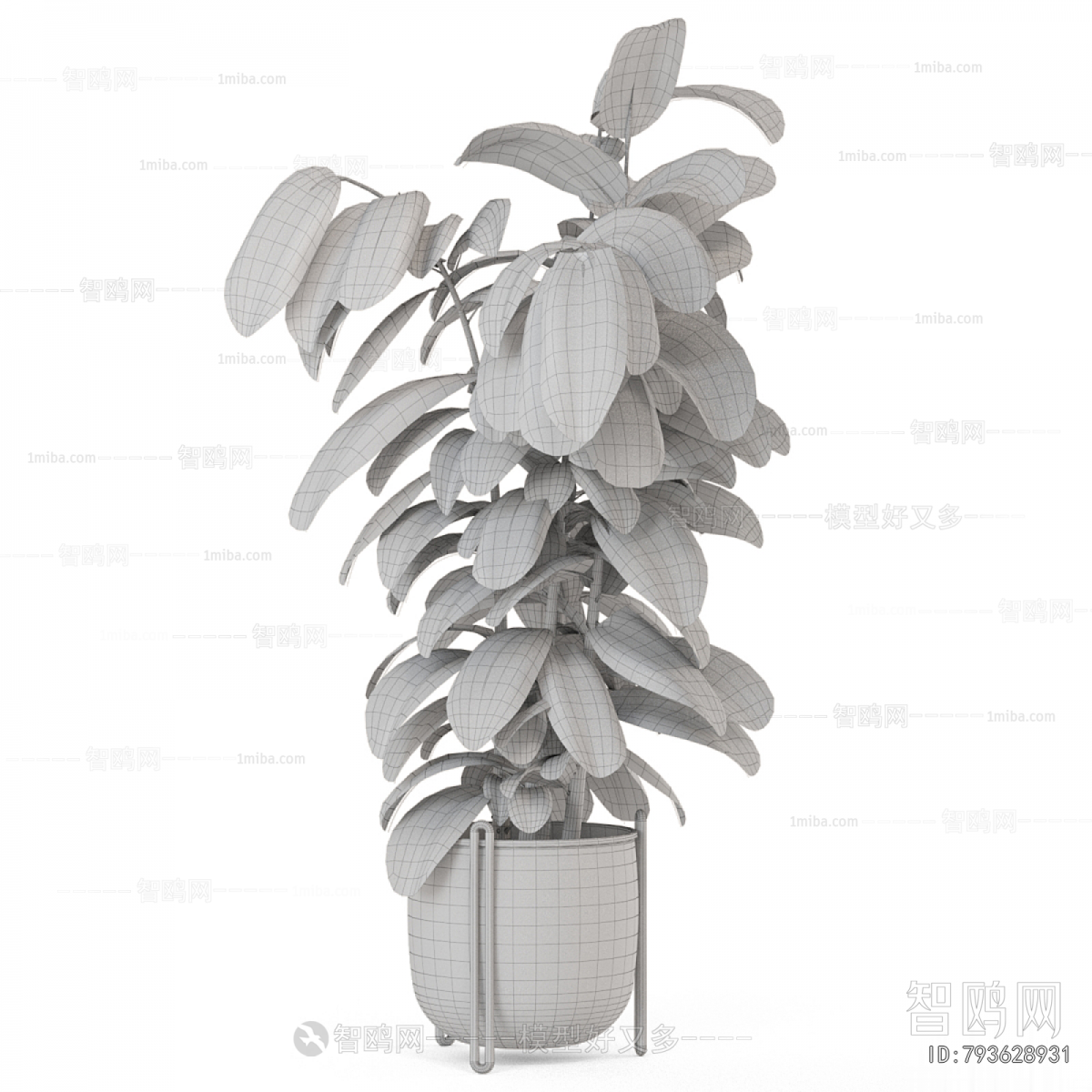 Modern Ground Green Plant Potted Plants