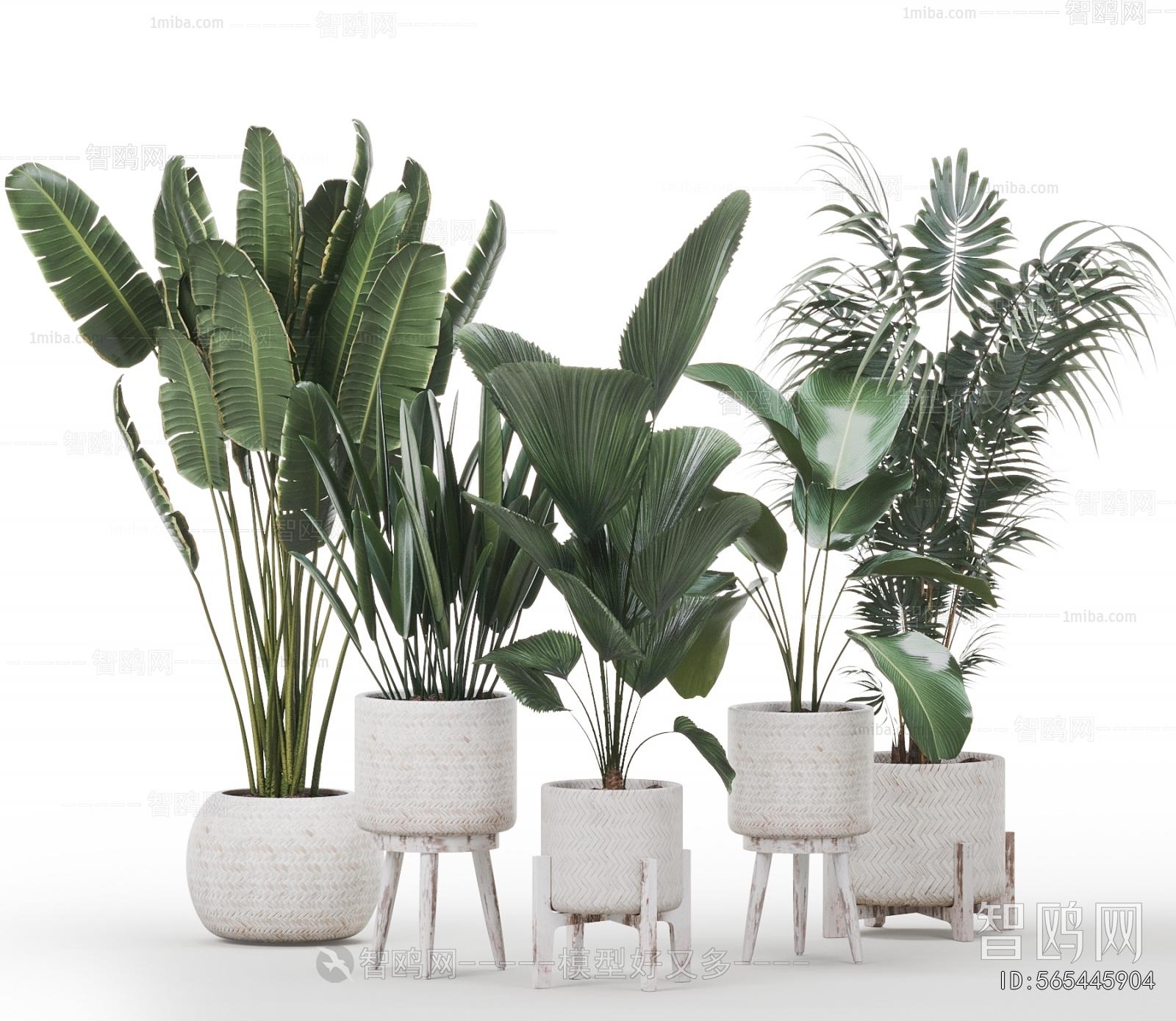 Modern Ground Green Plant Potted Plants
