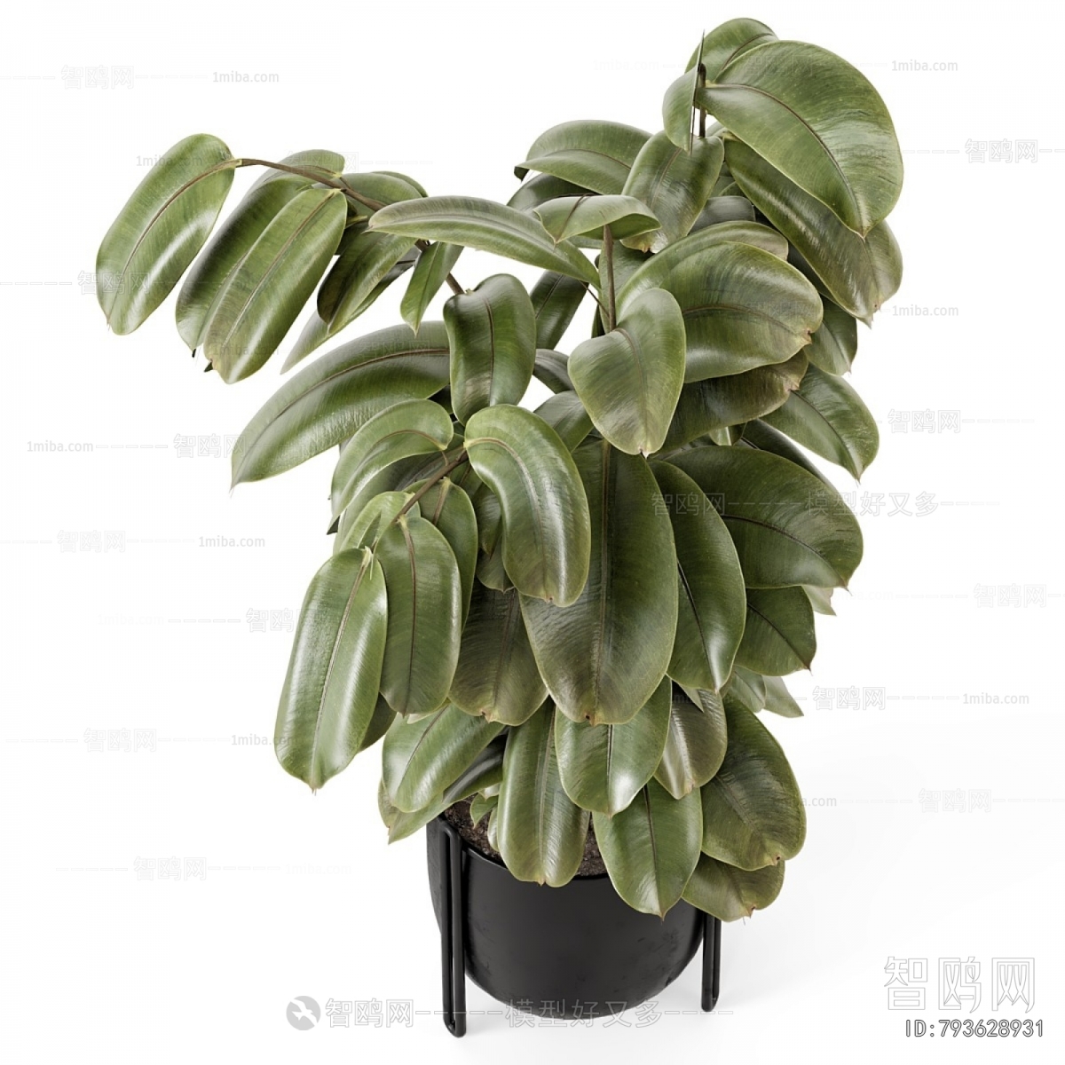 Modern Ground Green Plant Potted Plants
