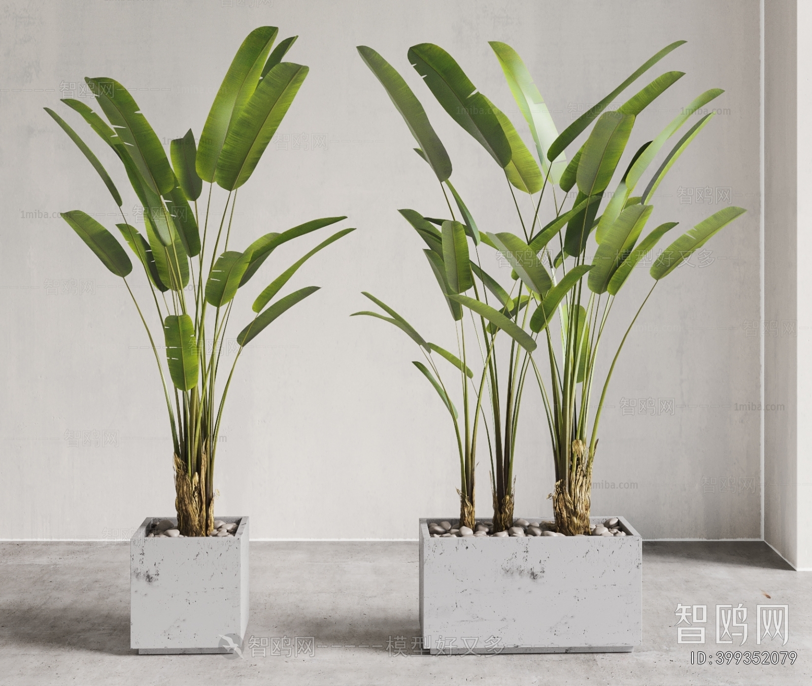 Modern Ground Green Plant Potted Plants