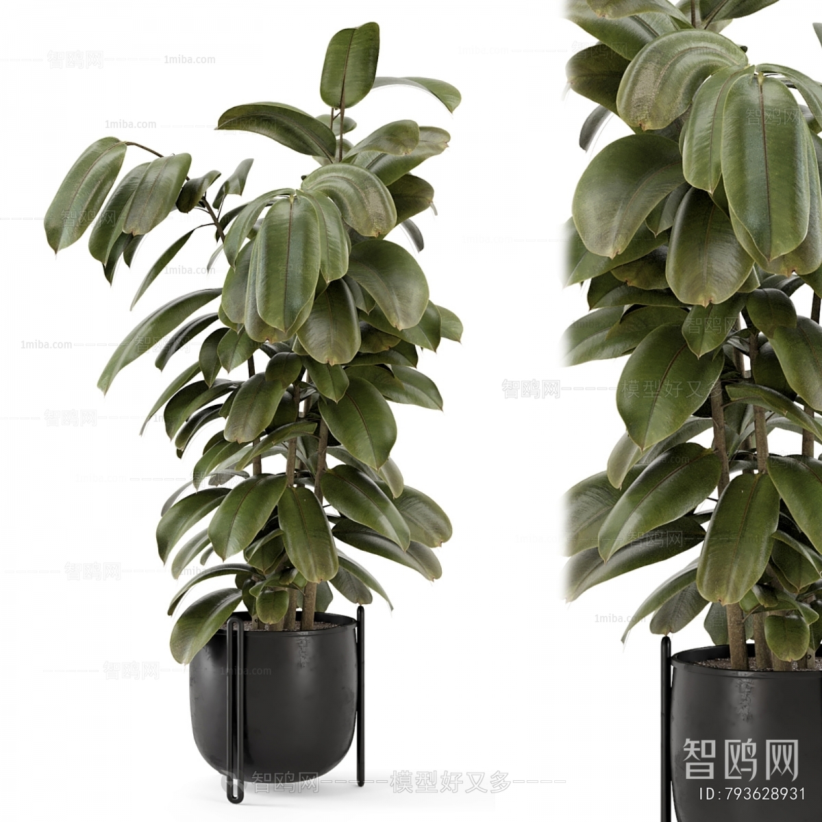 Modern Ground Green Plant Potted Plants