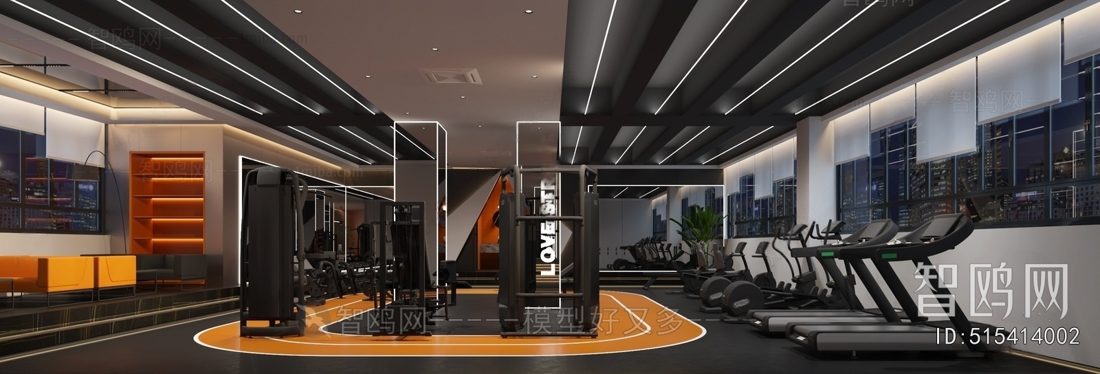 Modern Gym