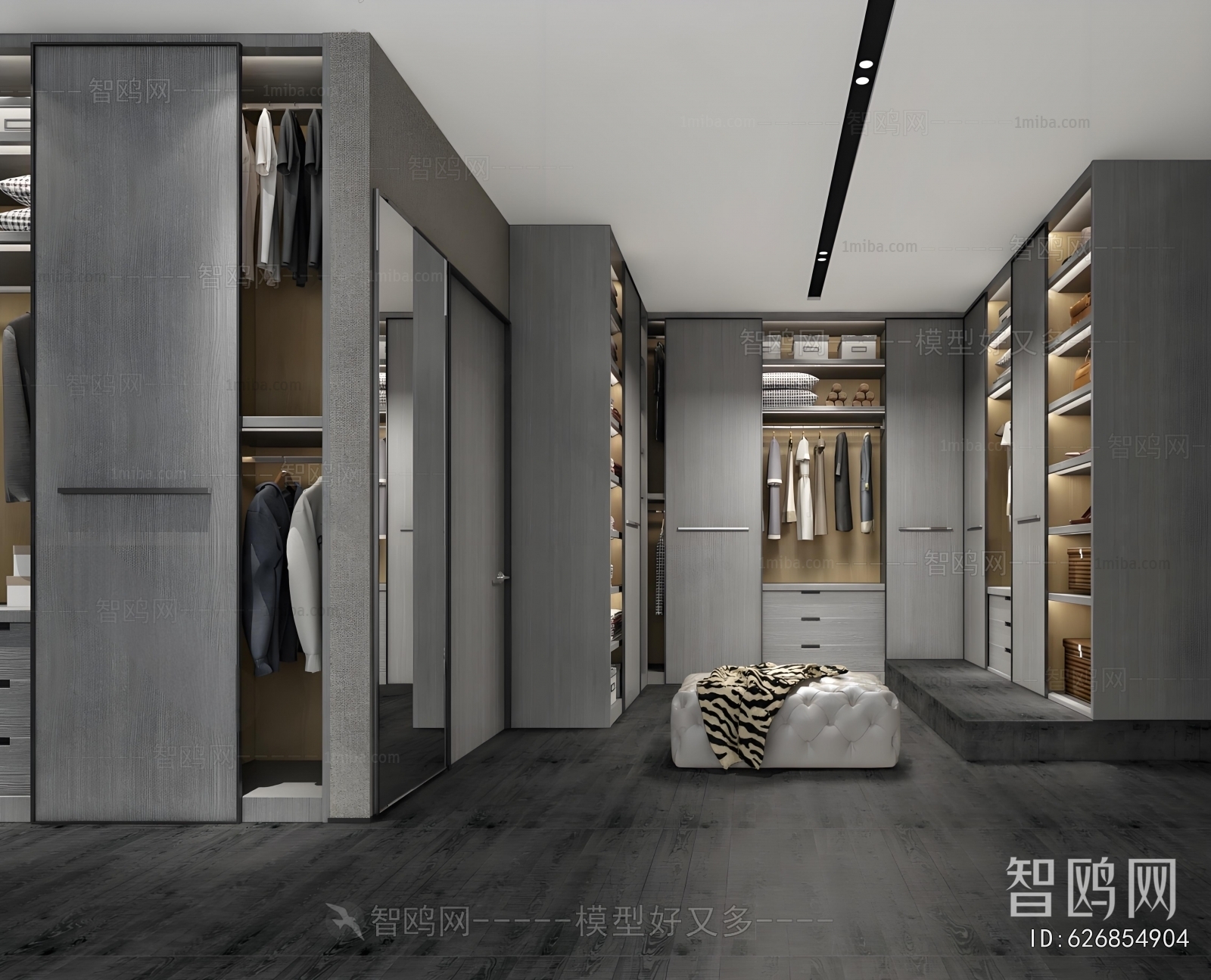 Modern Clothes Storage Area